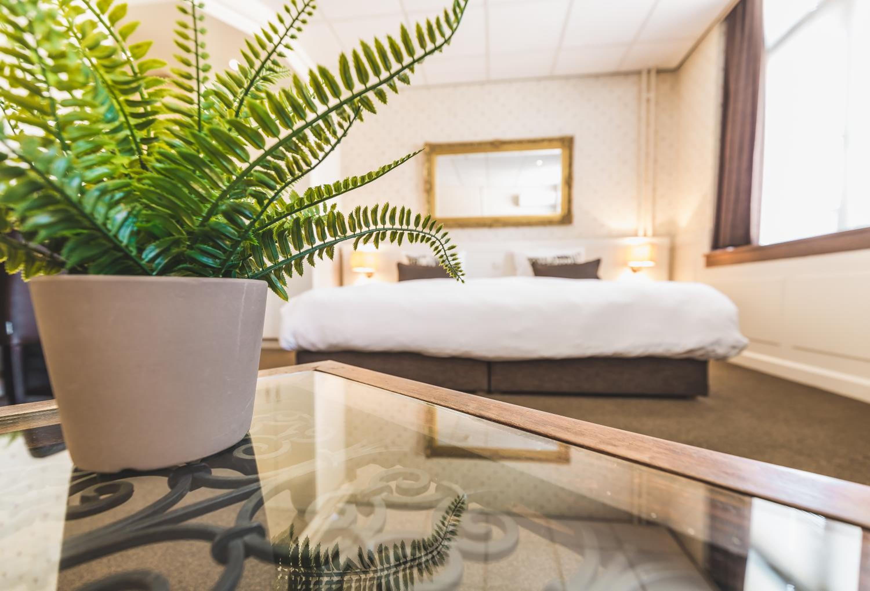 Superior Room - Photo 3