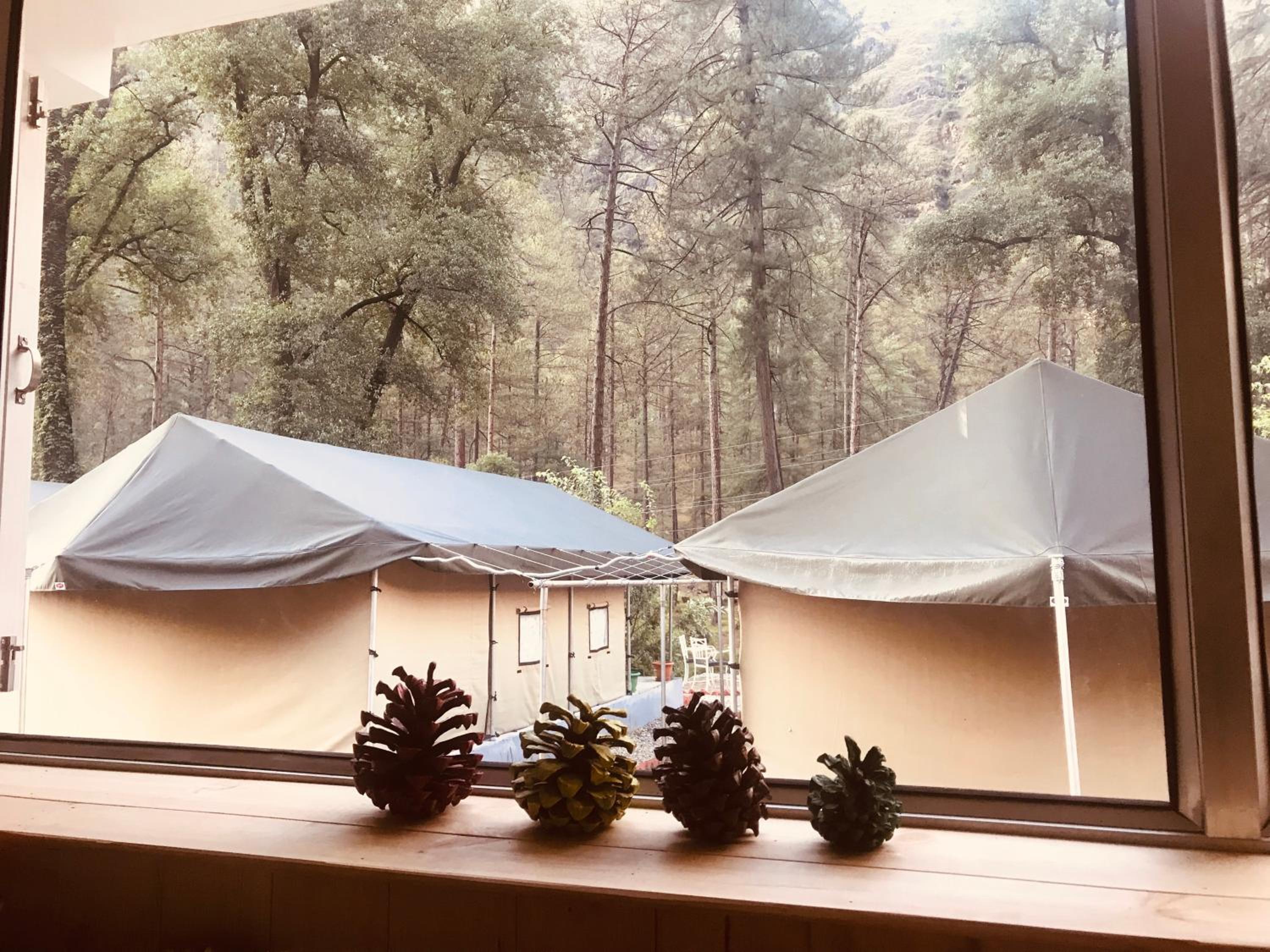 Tent - Photo 3