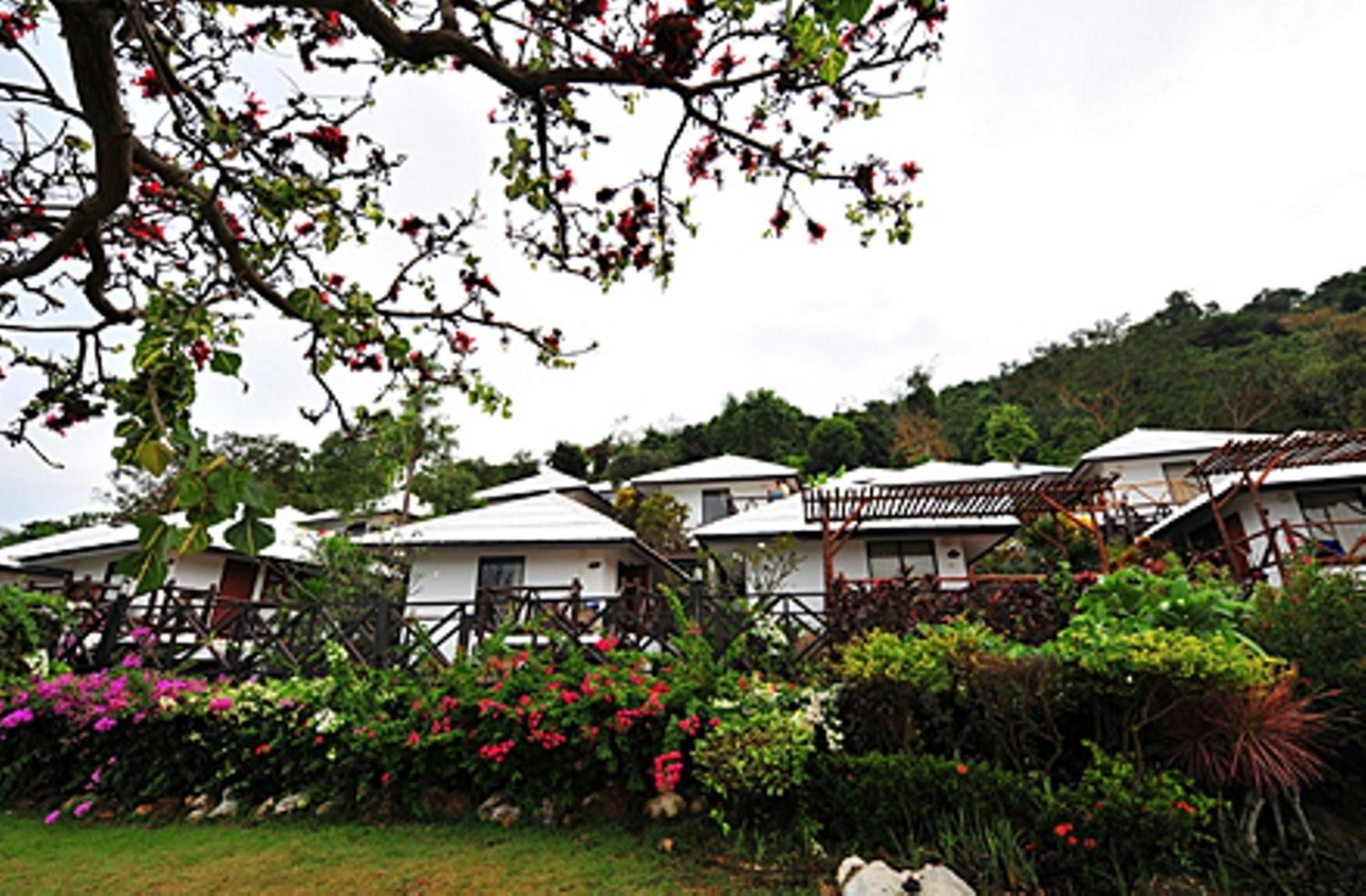 Deluxe Bungalow with Sea View photo 2