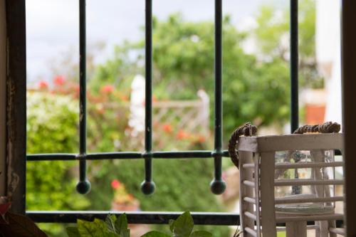 Apartment with Terrace photo 3