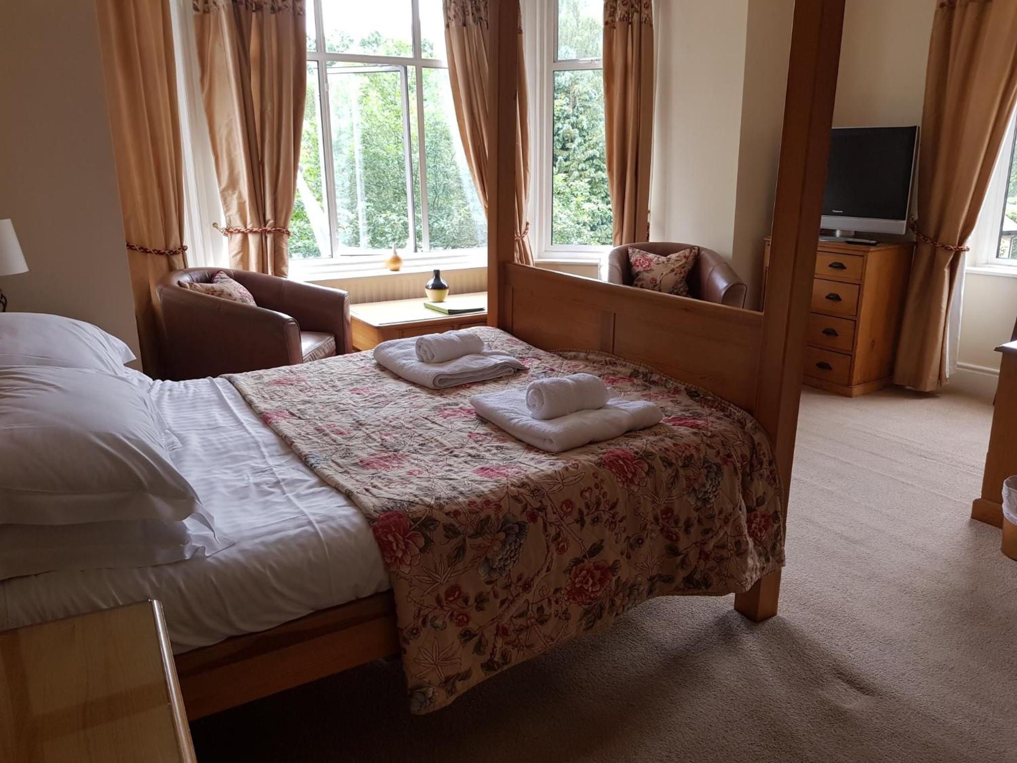King Room (Not Pet-Friendly) photo 3