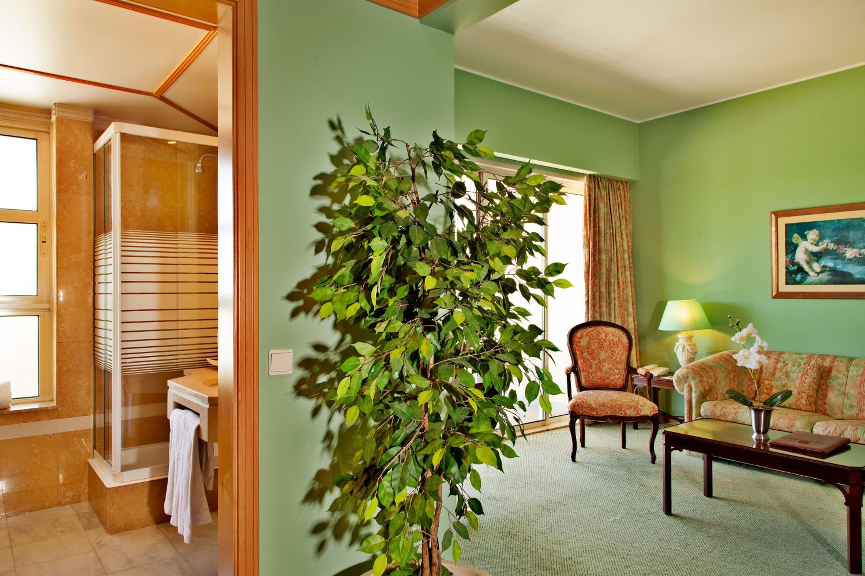 Duplex Suite - Photo 3