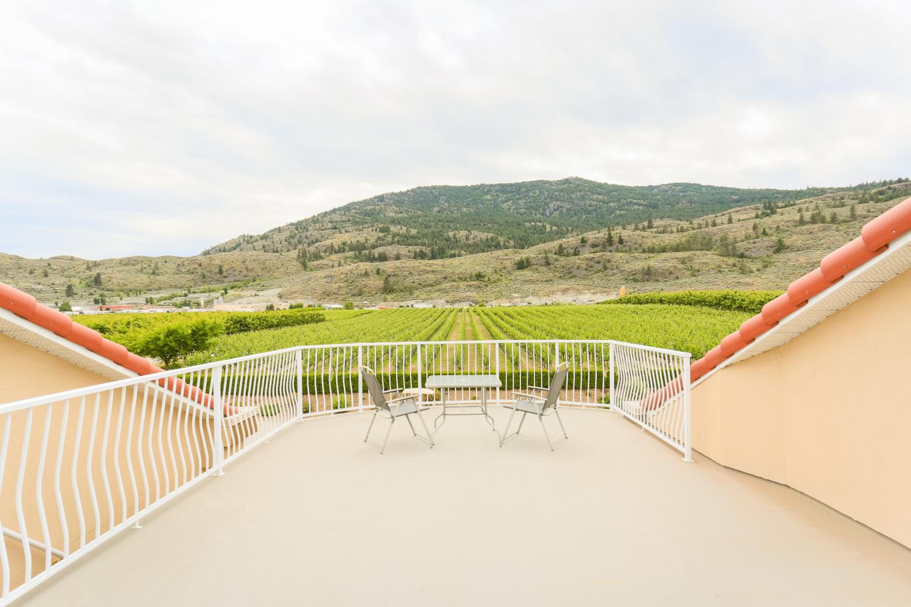 One-Bedroom Villa photo 2