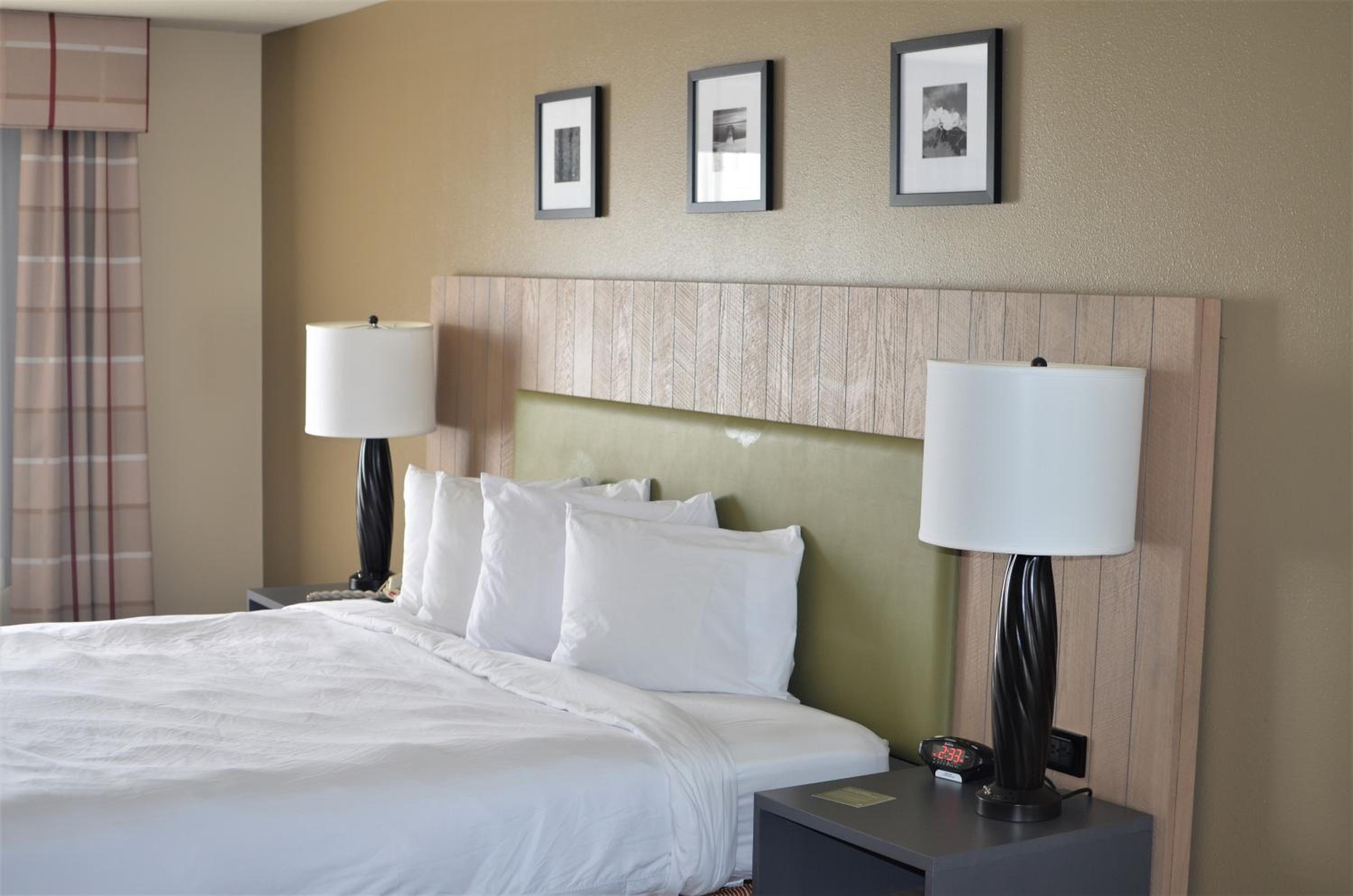 King Suite - Photo 2