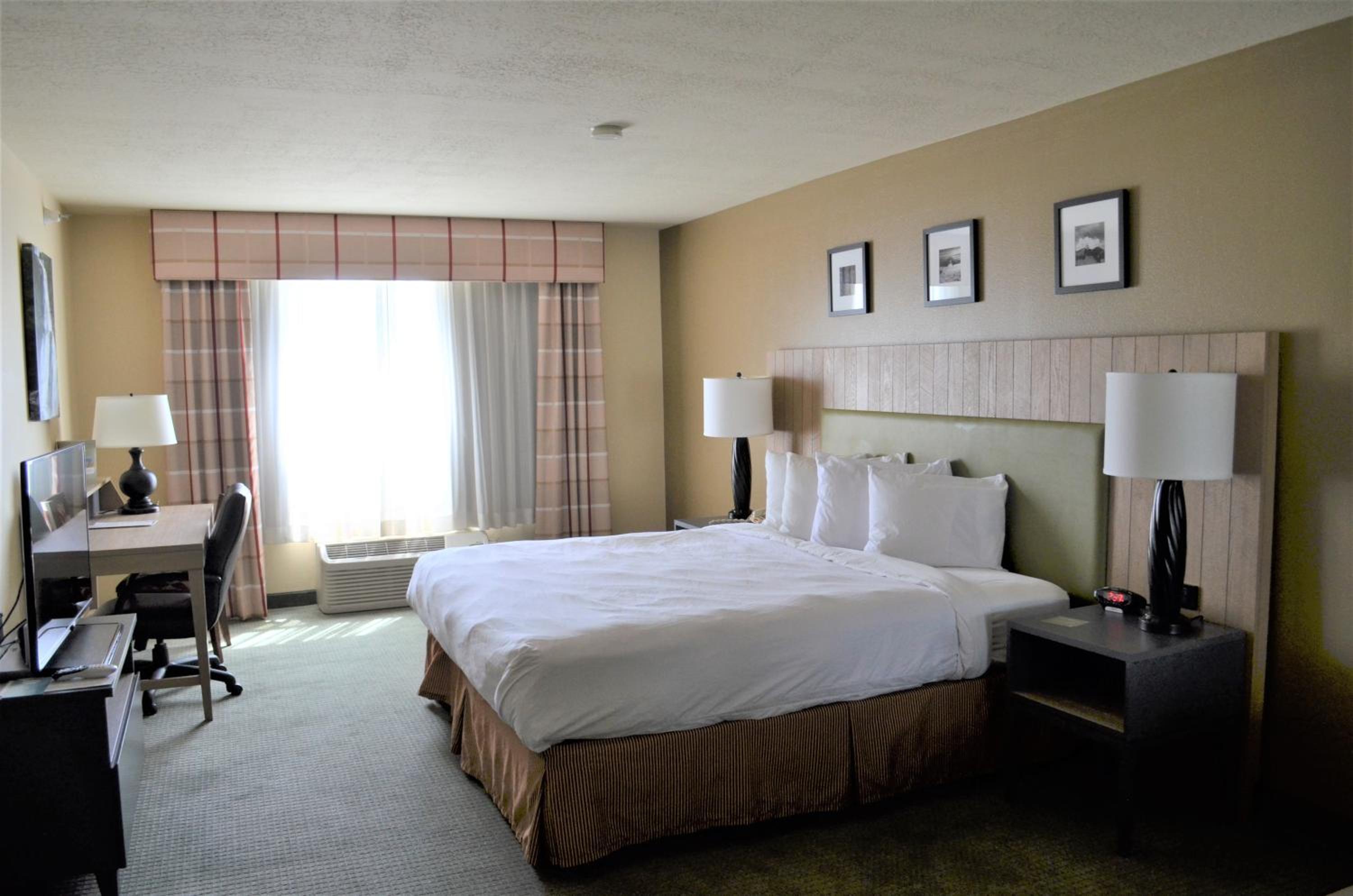 King Suite - Photo 10
