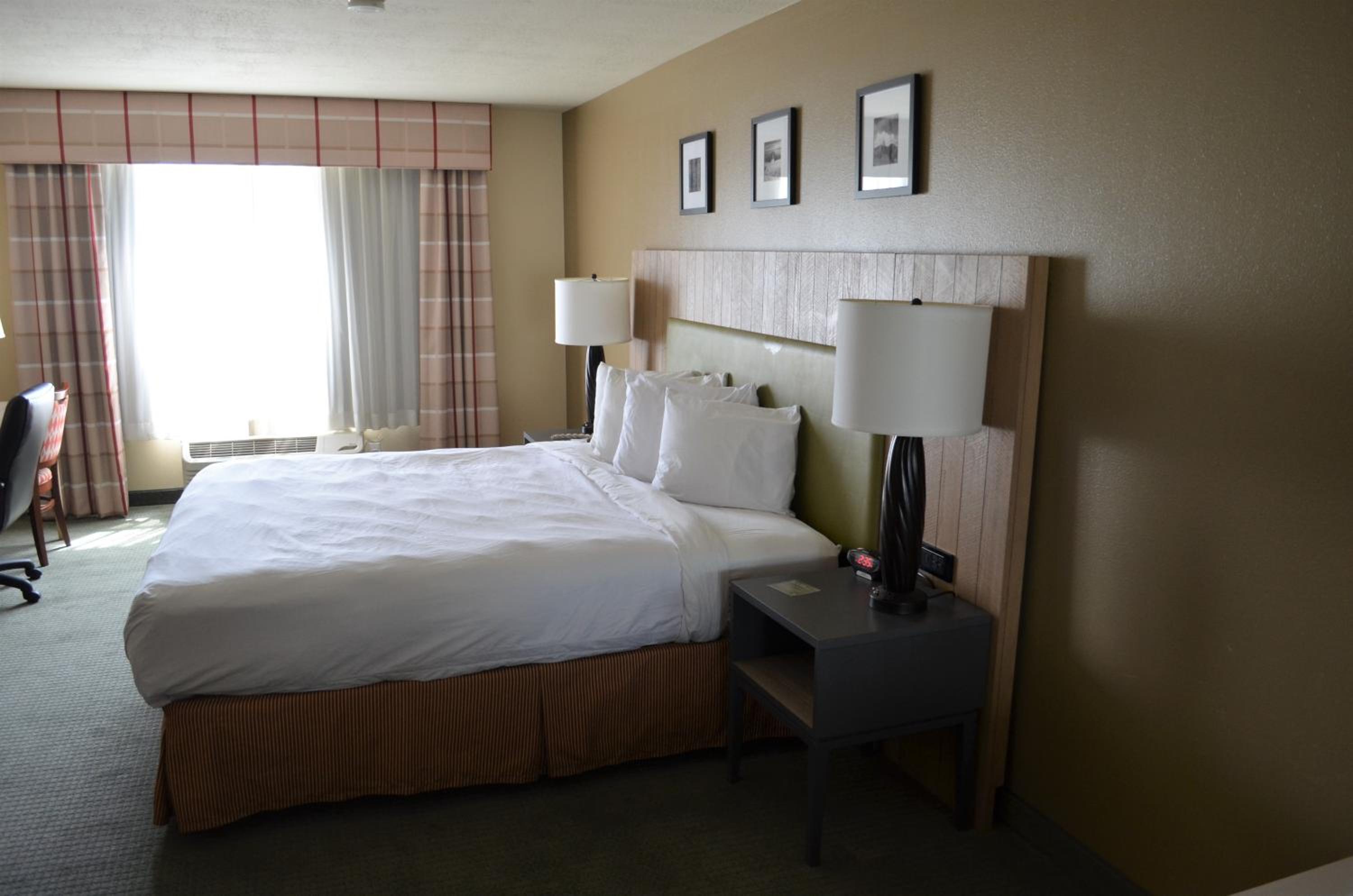 King Suite - Photo 6