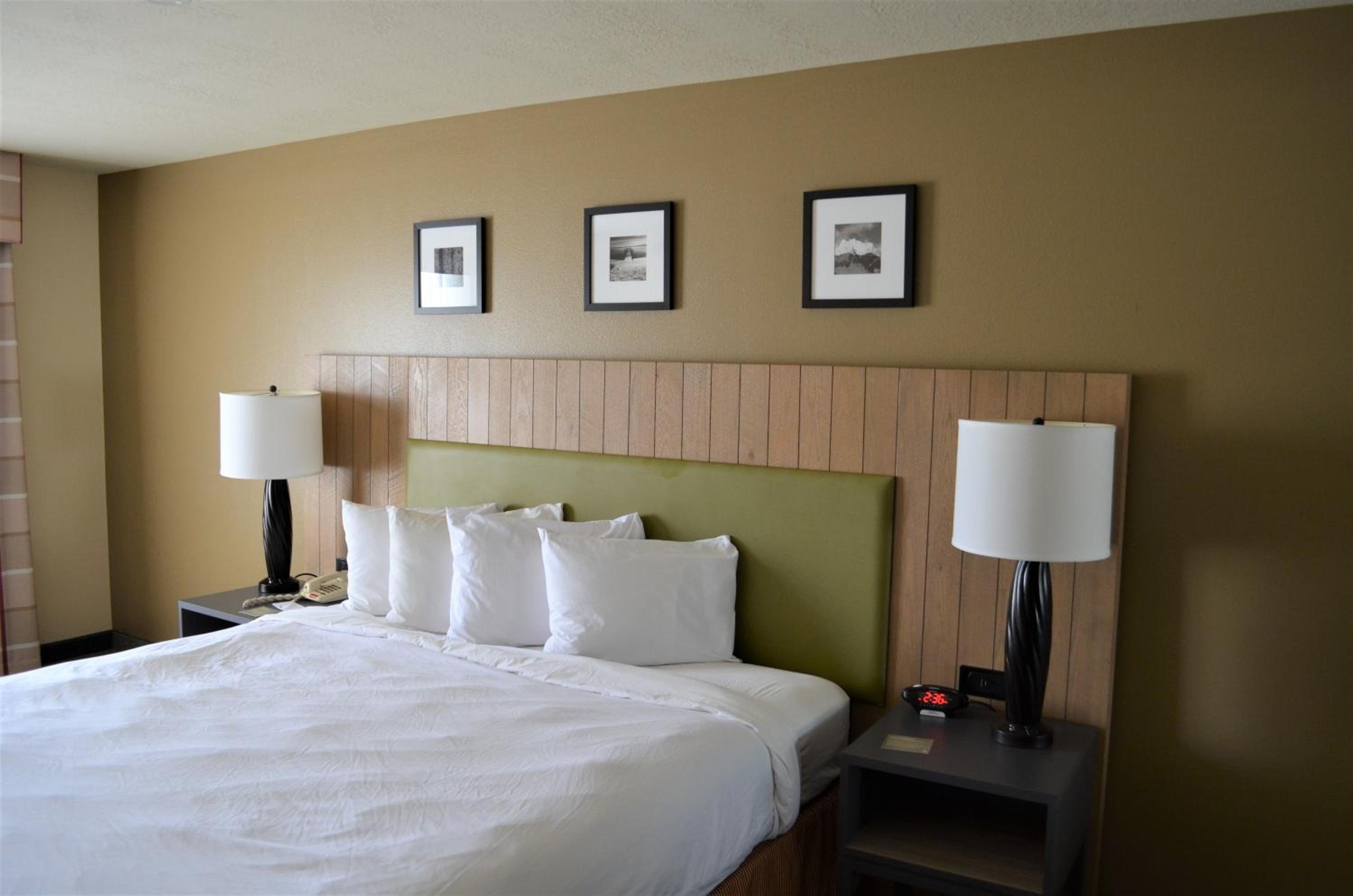 King Suite - Photo 5