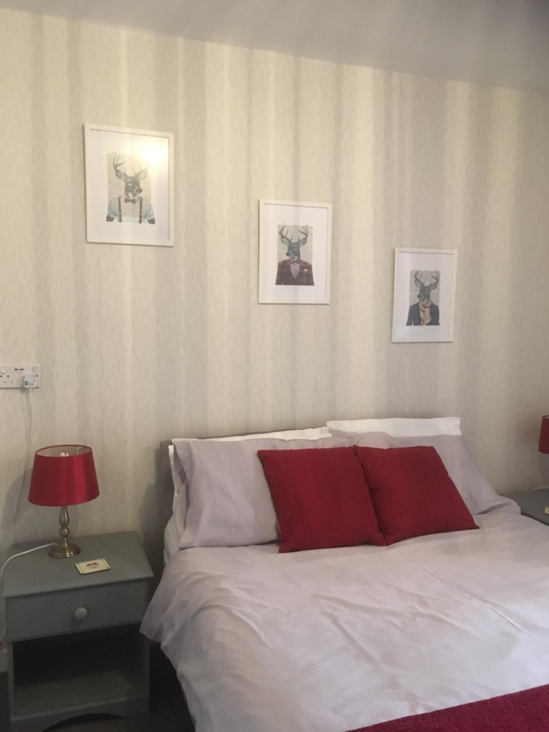 Double Room photo 1