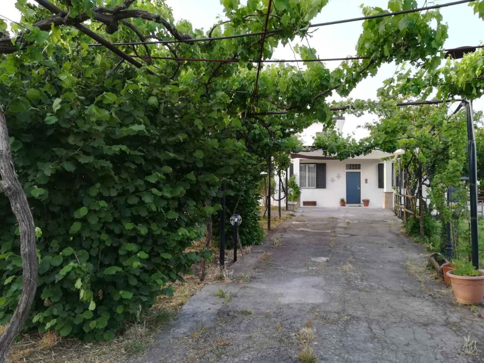 Three-Bedroom House - Photo 107