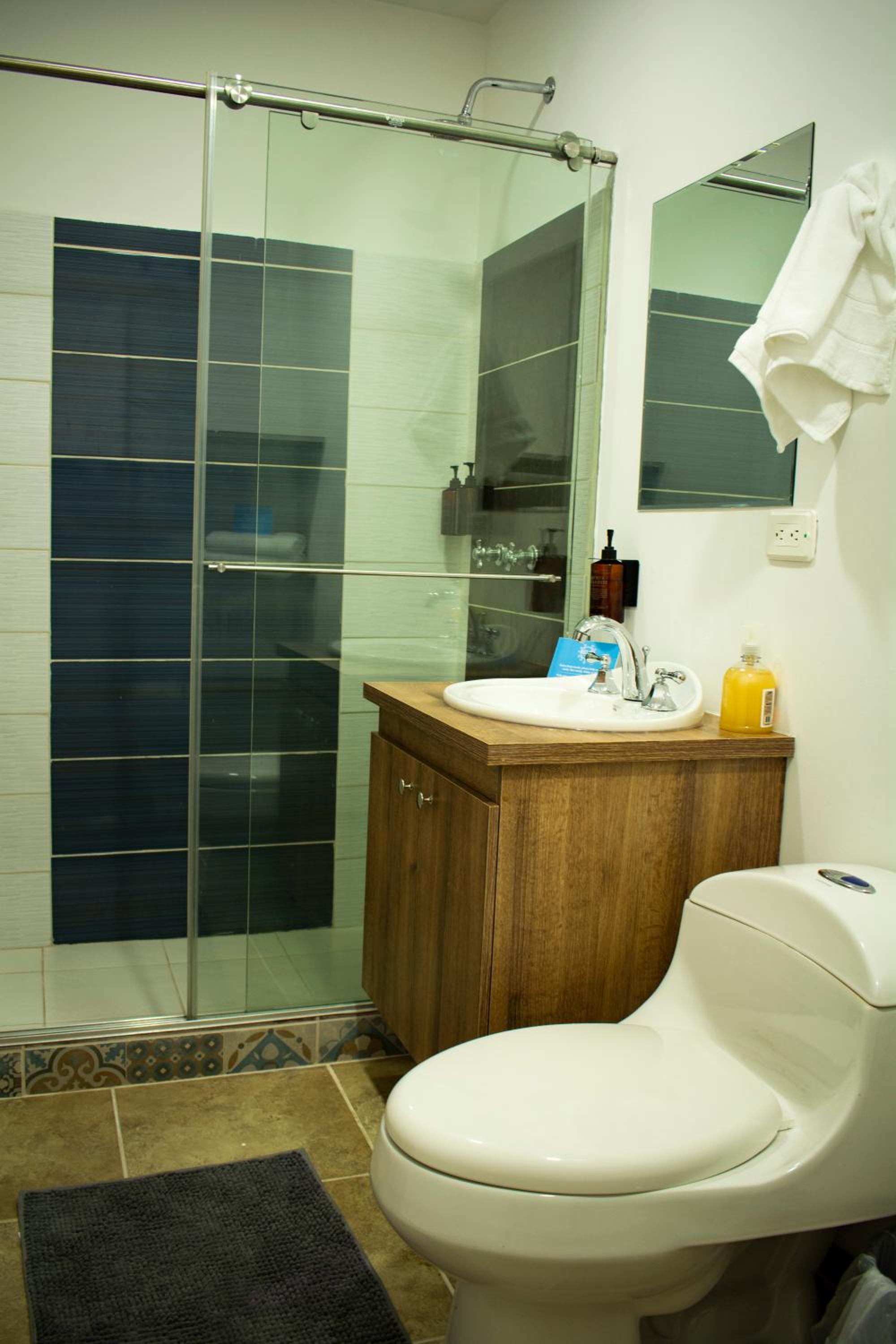 Deluxe Double or Twin Room photo 3