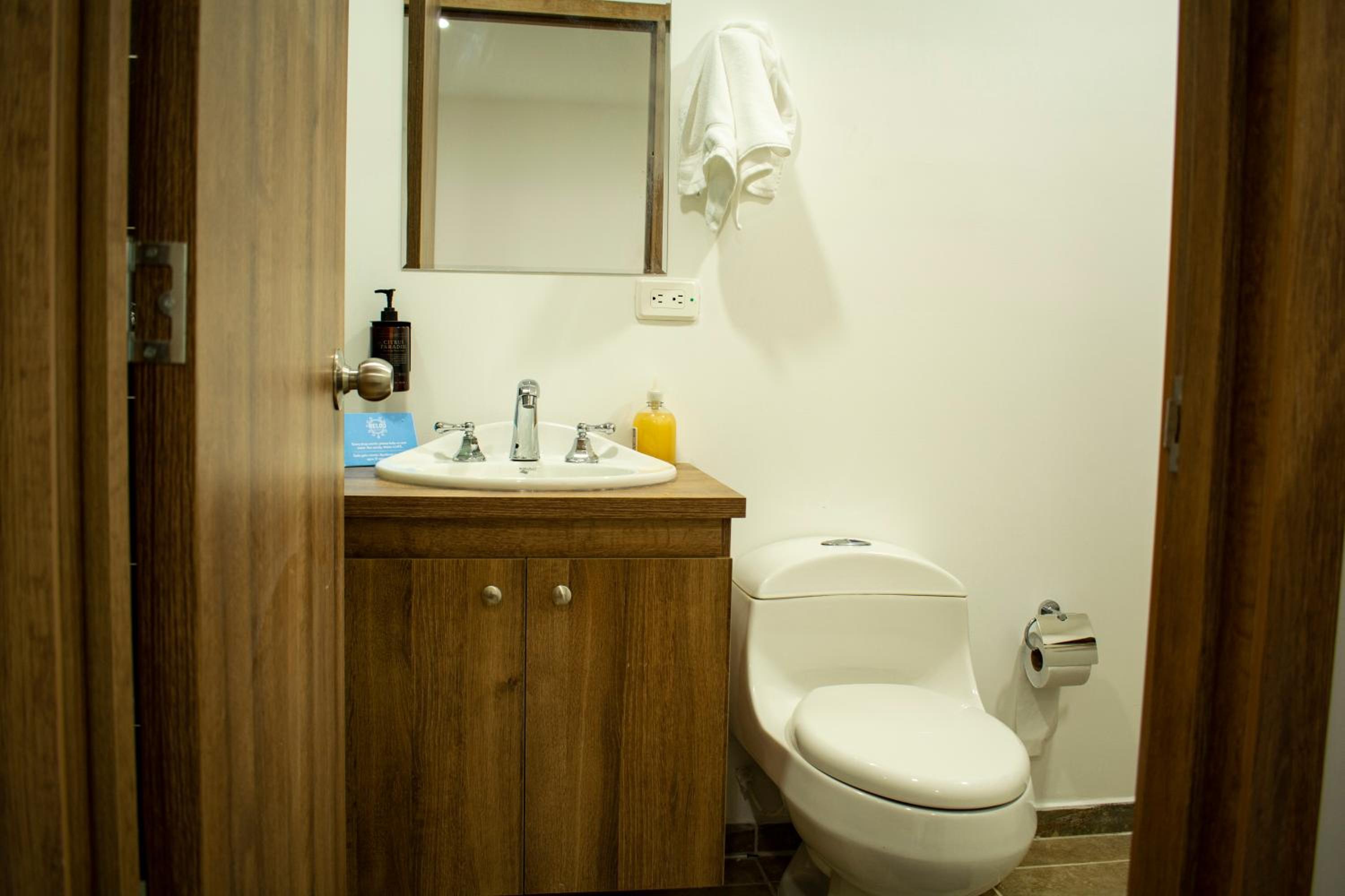 Deluxe Double or Twin Room photo 2