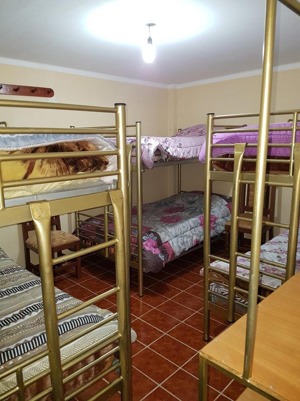 Family Room with Shared Bathroom (6 Adults)