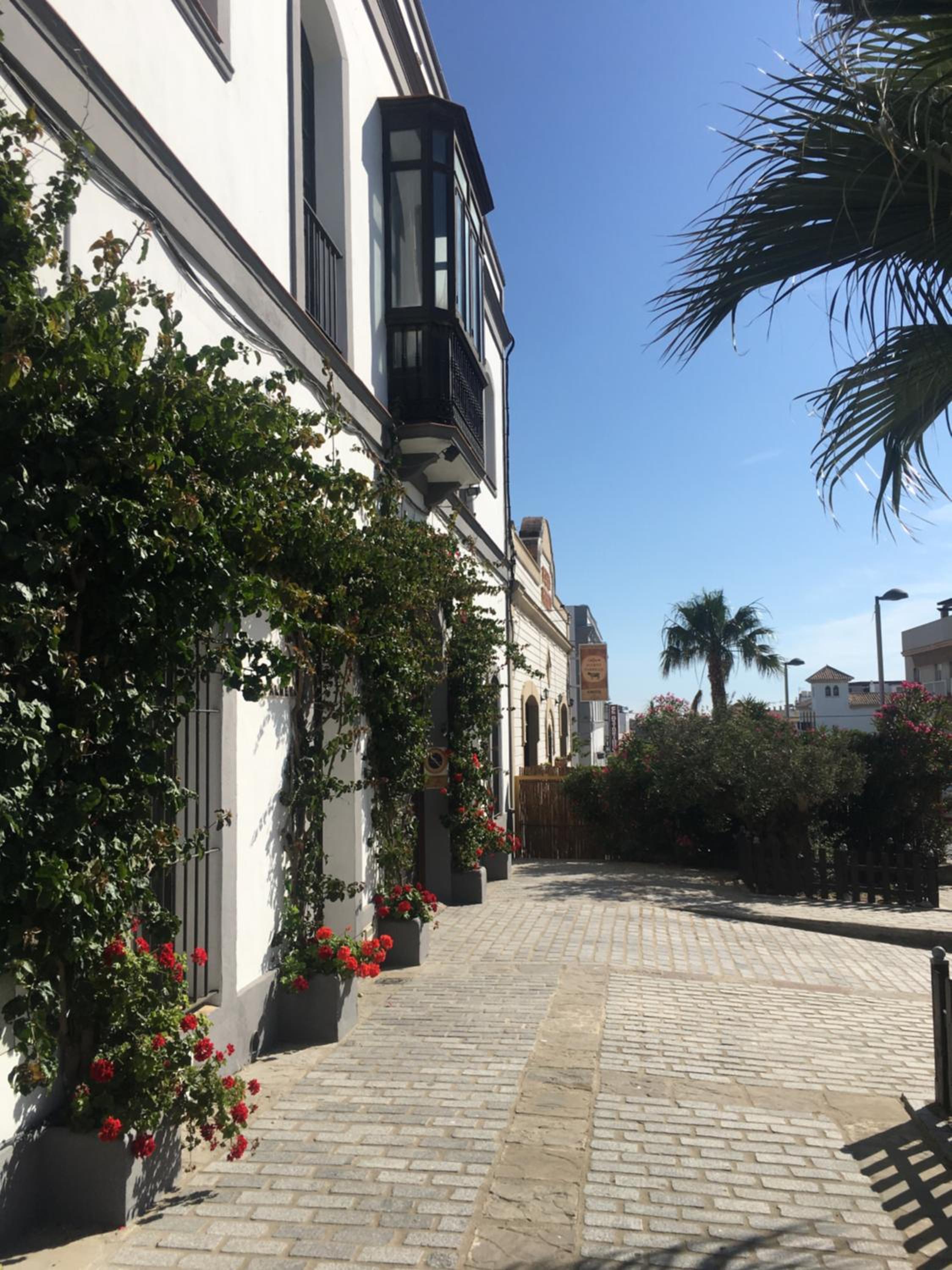 Darcilla Gastenhuis, Foto 7