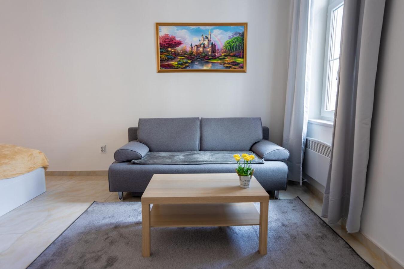 Studio Apartment - Photo 3