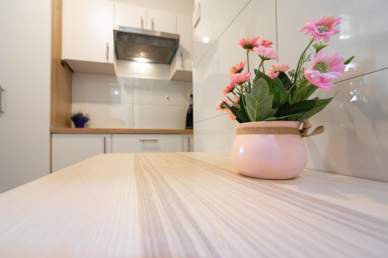 Studio Apartment - Photo 8