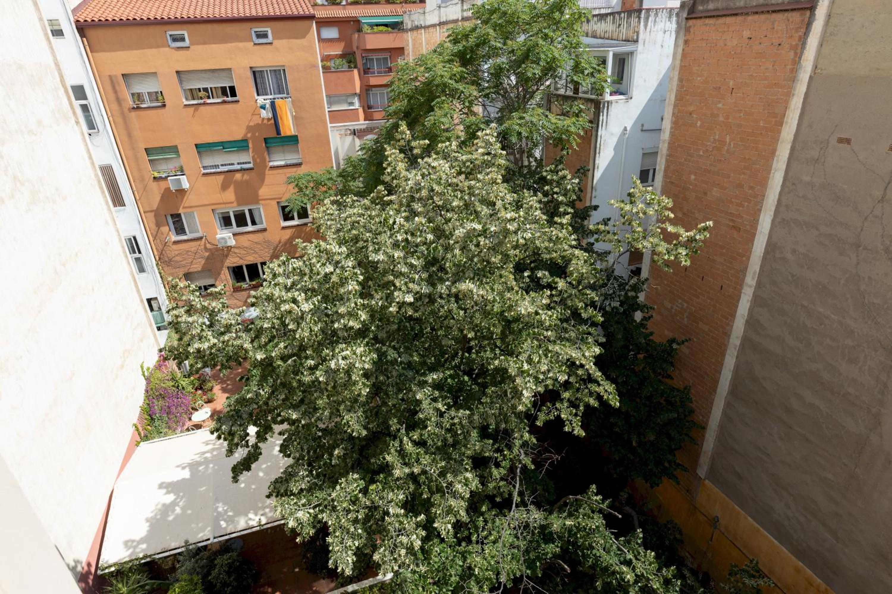 Apartment photo 2
