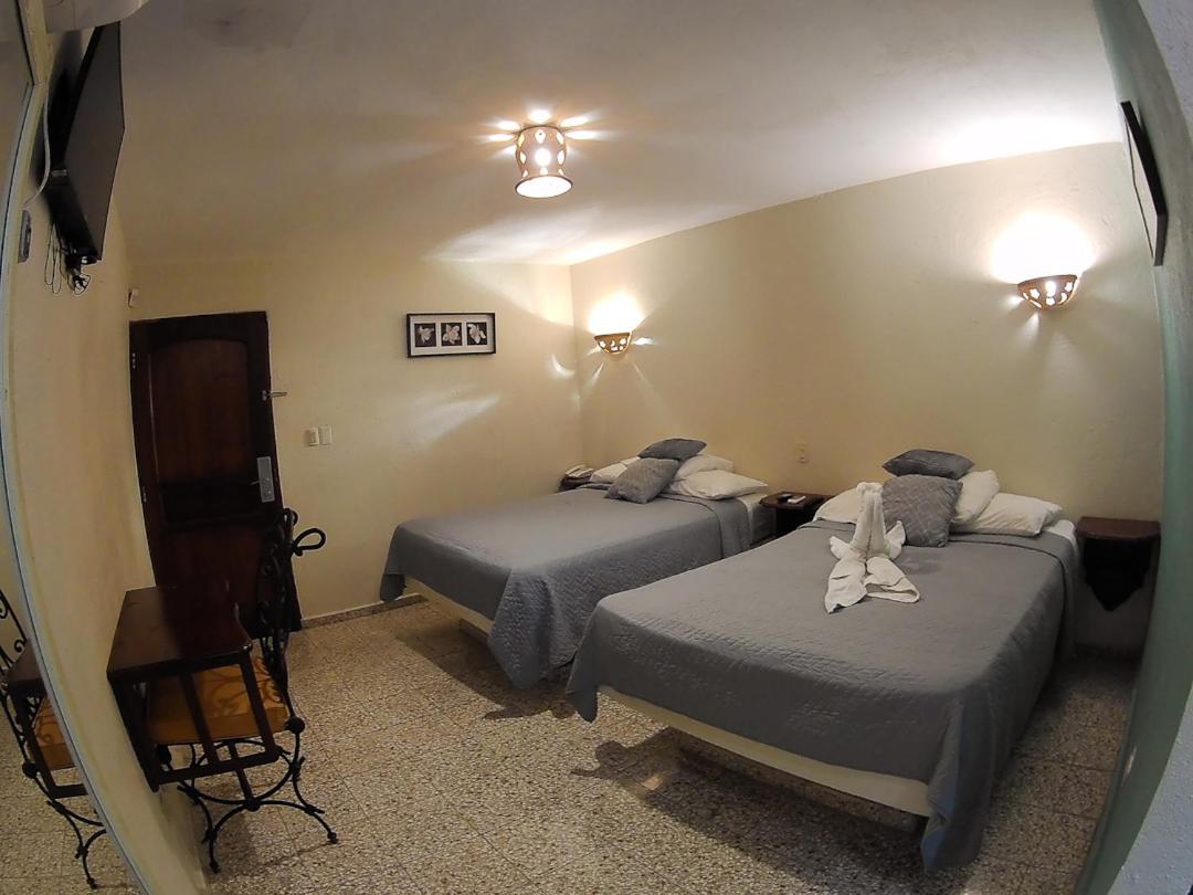 Superior Double Room photo 1