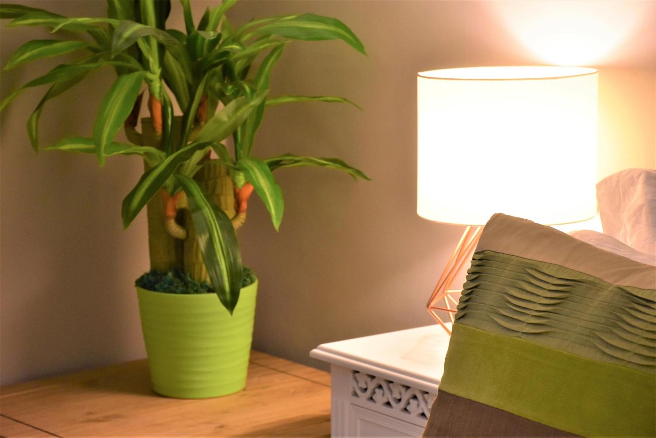 One-Bedroom Apartment - Photo 42