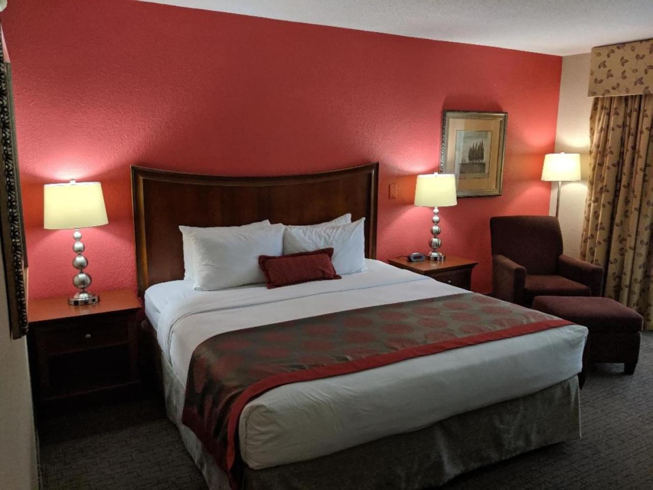 King Suite photo 1