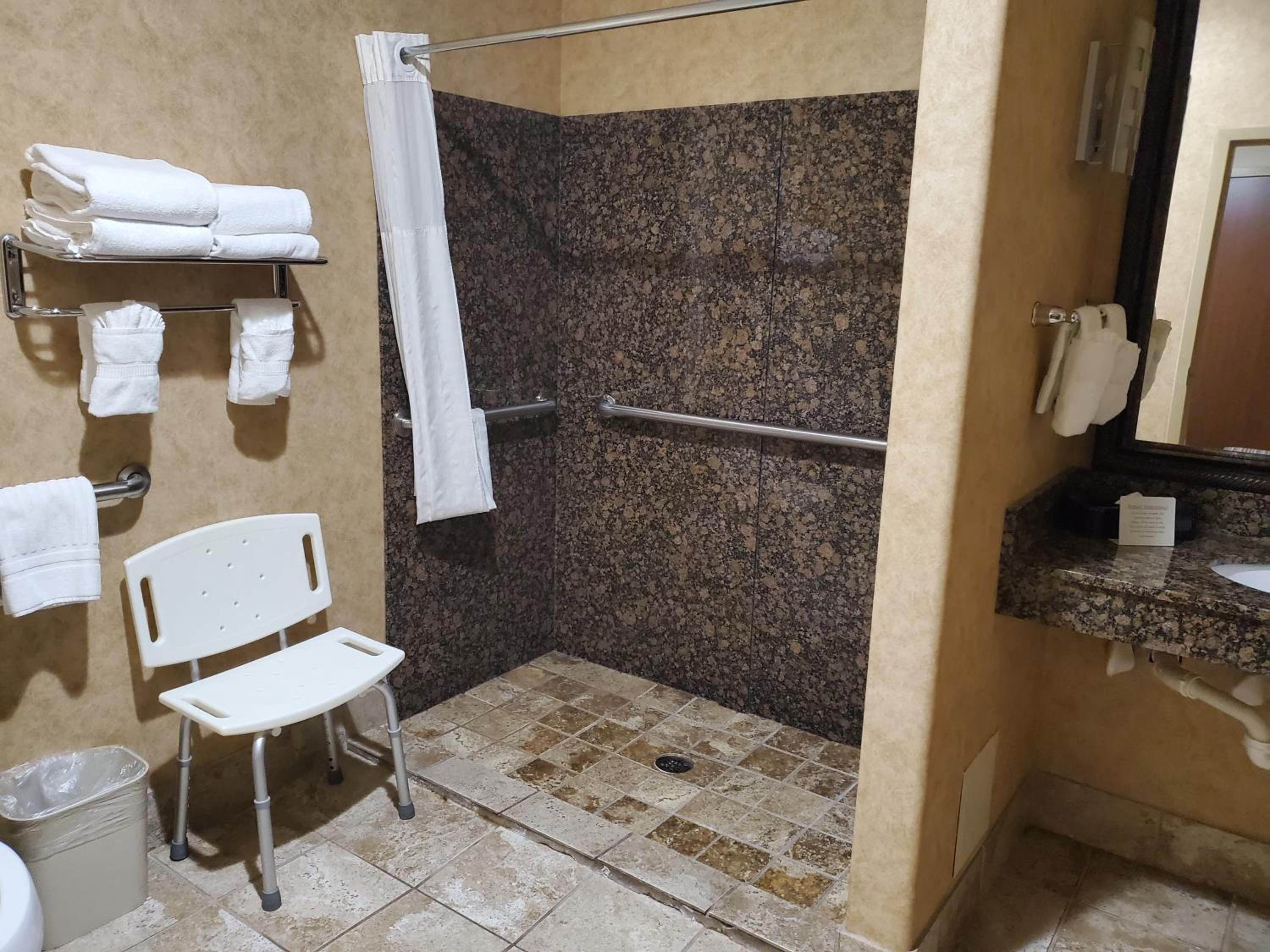 King Suite - Disability Access/Non-Smoking - Photo 4