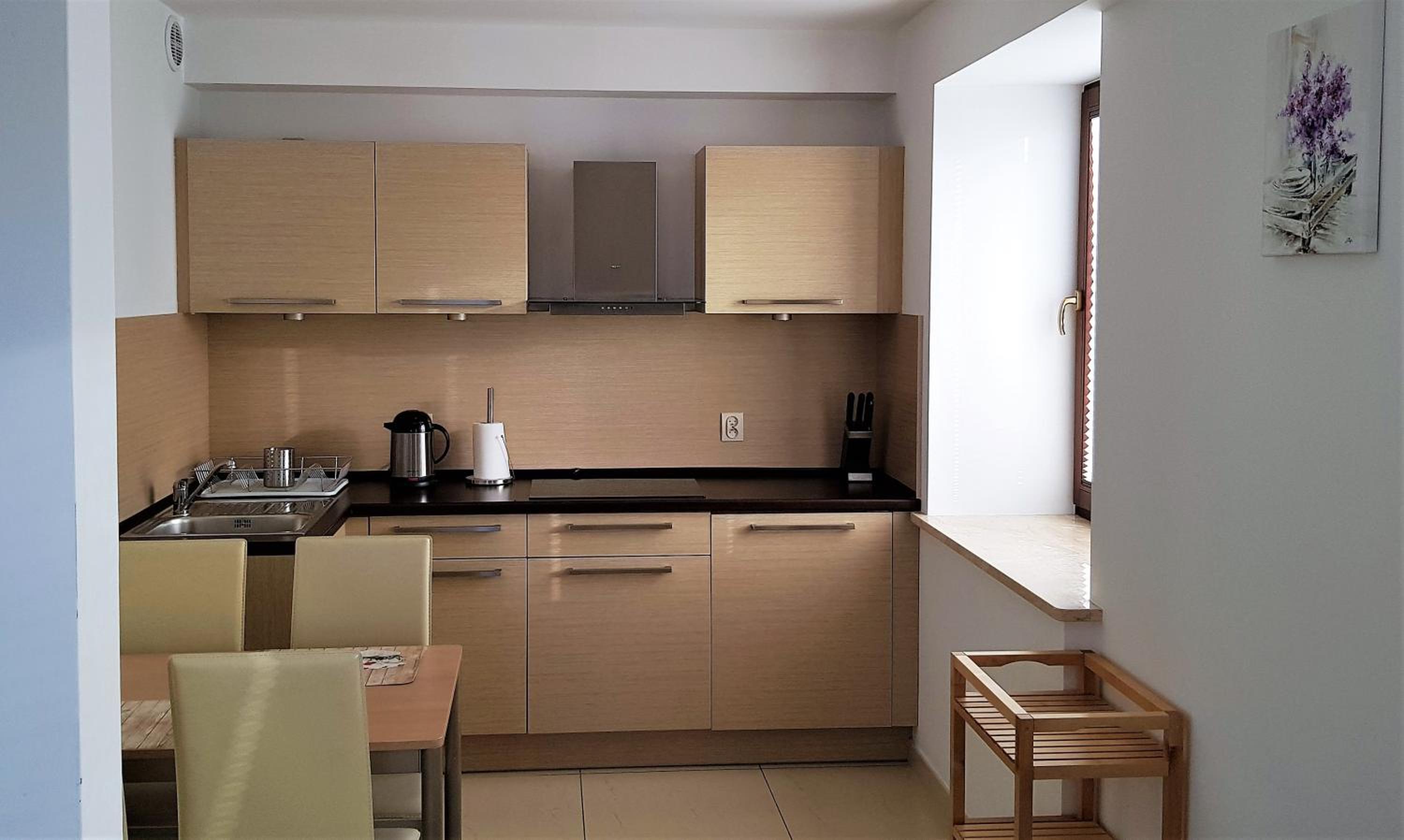 One-Bedroom Apartment photo 2