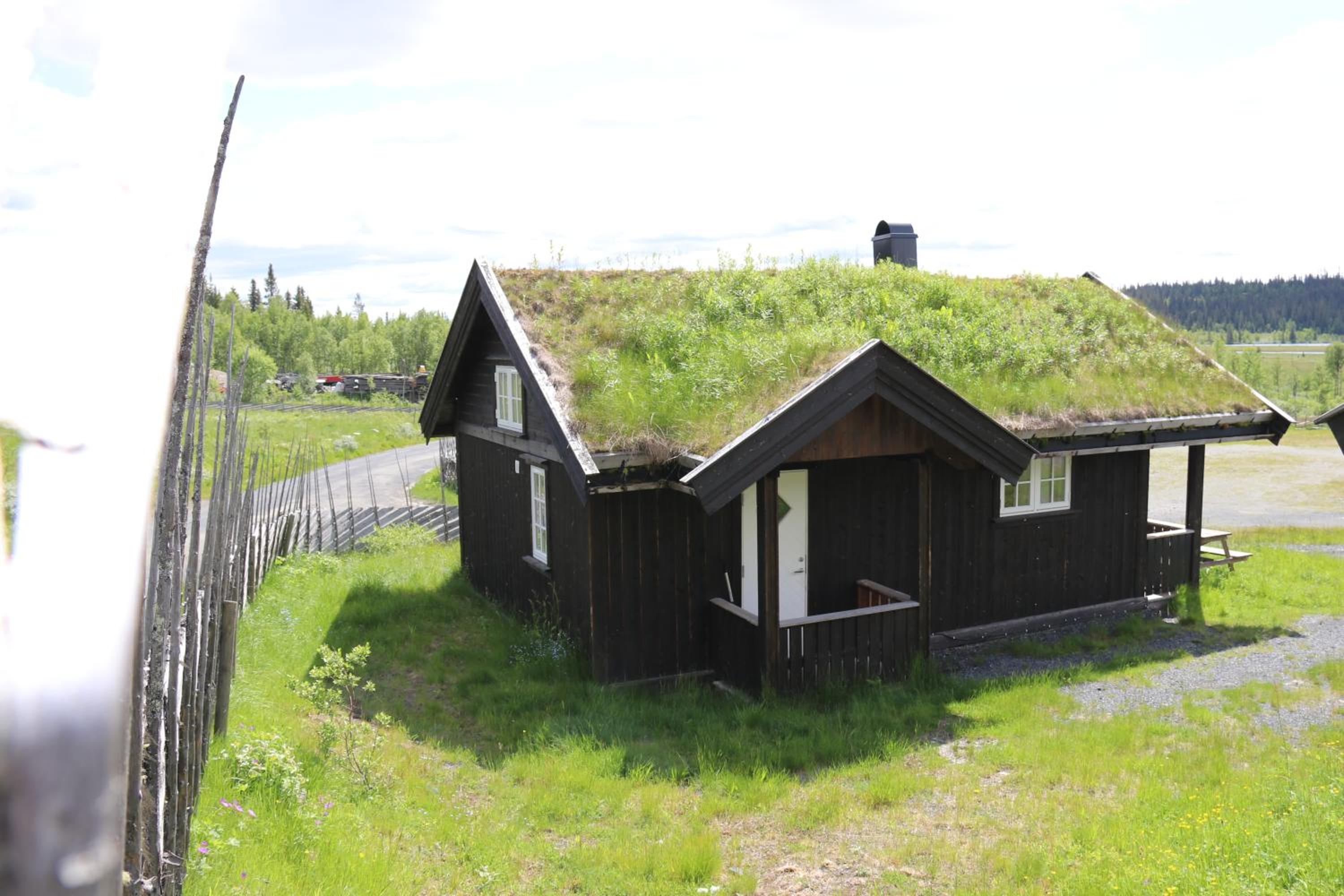 Family Bungalow photo 3