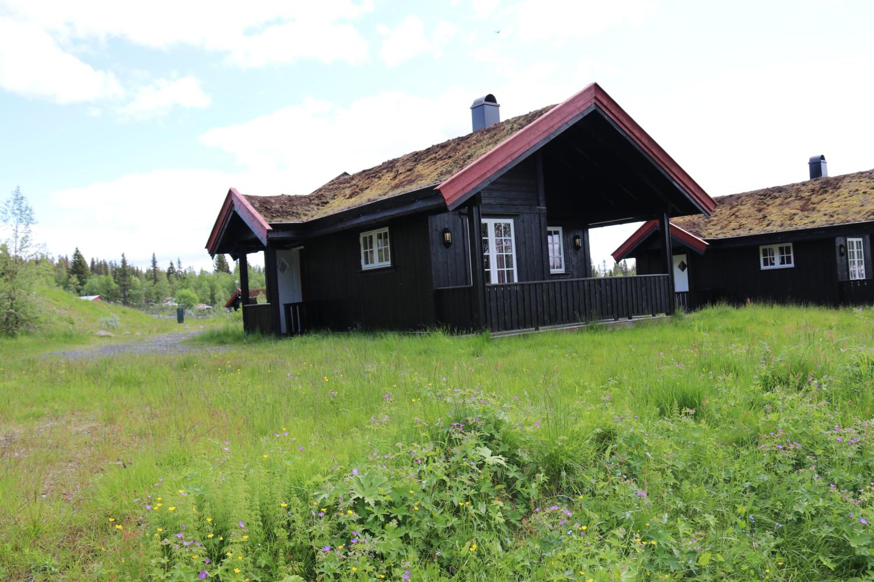 Family Bungalow photo 2
