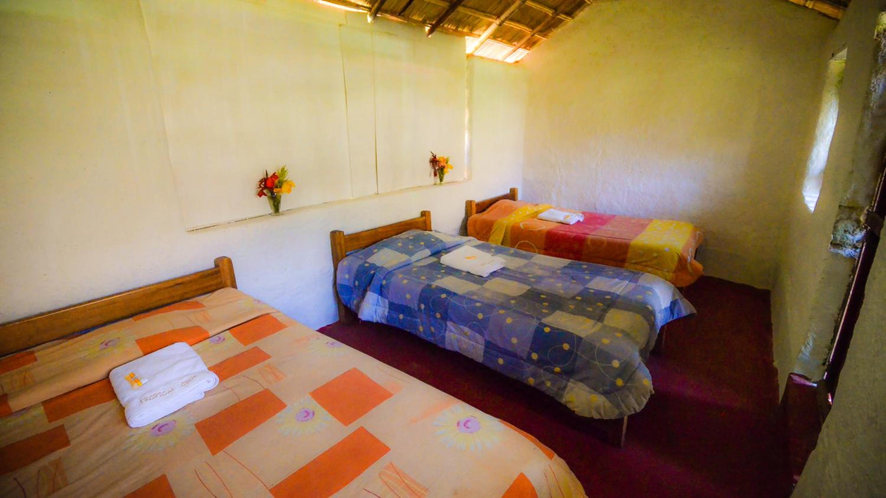 Triple Room with Shared Bathroom photo 1