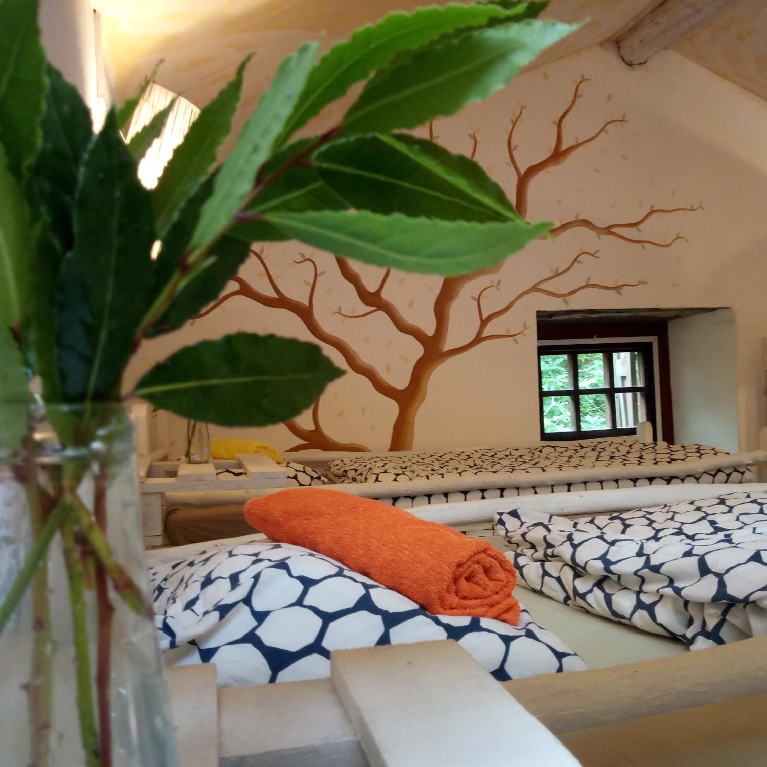 Bed in 6-Bed Mixed Dormitory Room photo 1