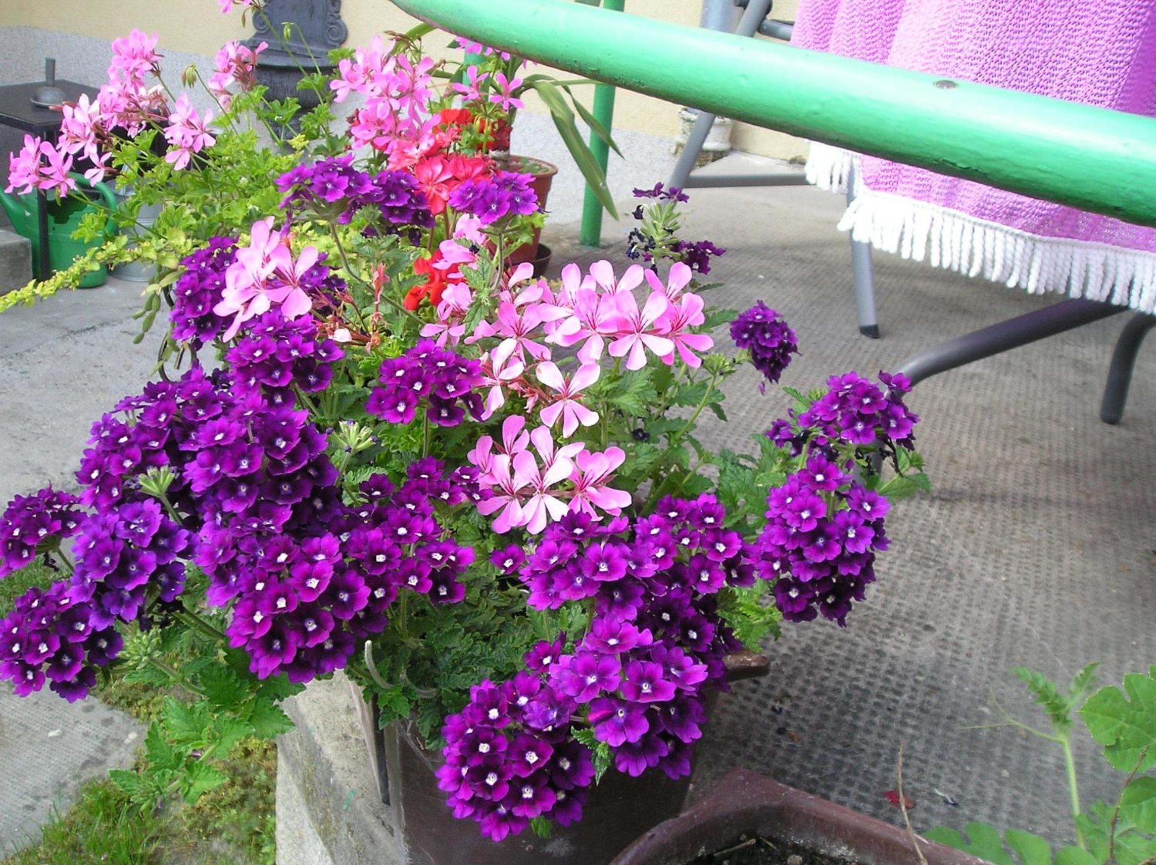 Apartment - Photo 11