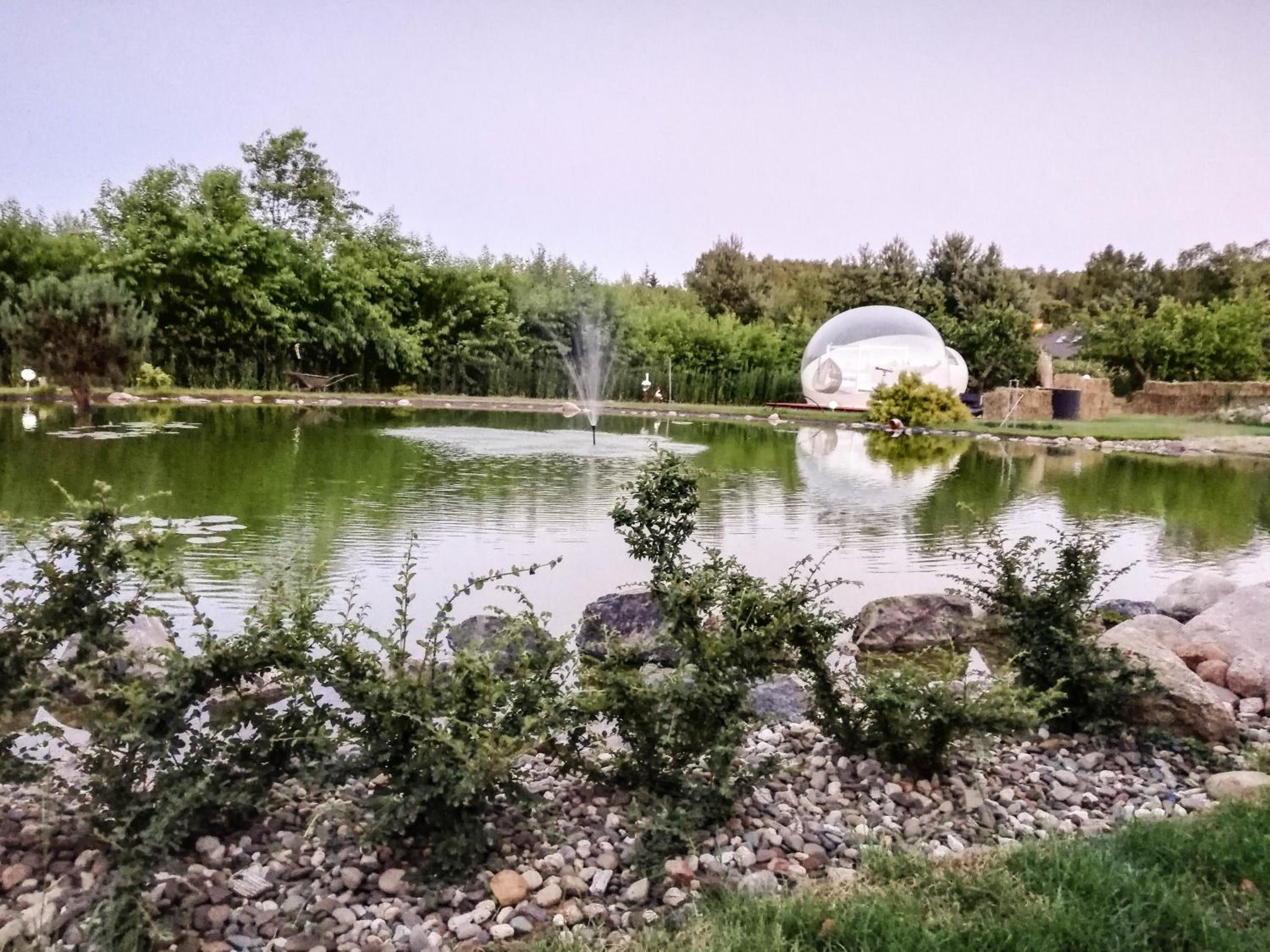 Bitcoin Bubble Tent - Photo 4