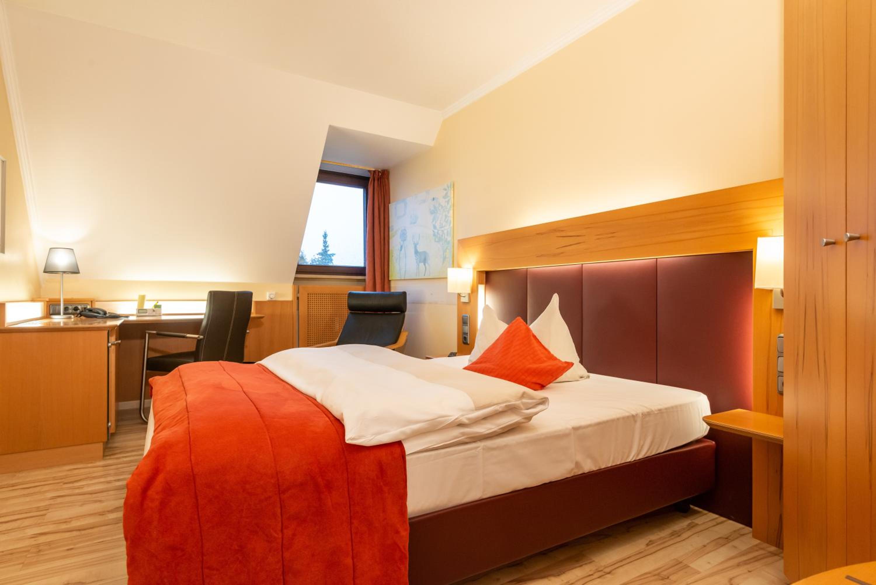 Single Room photo 3
