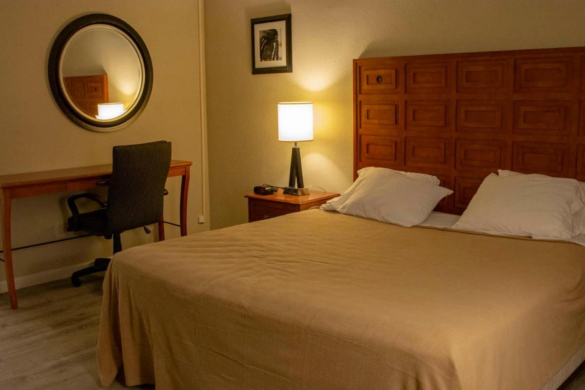 Deluxe King Suite - Photo 4