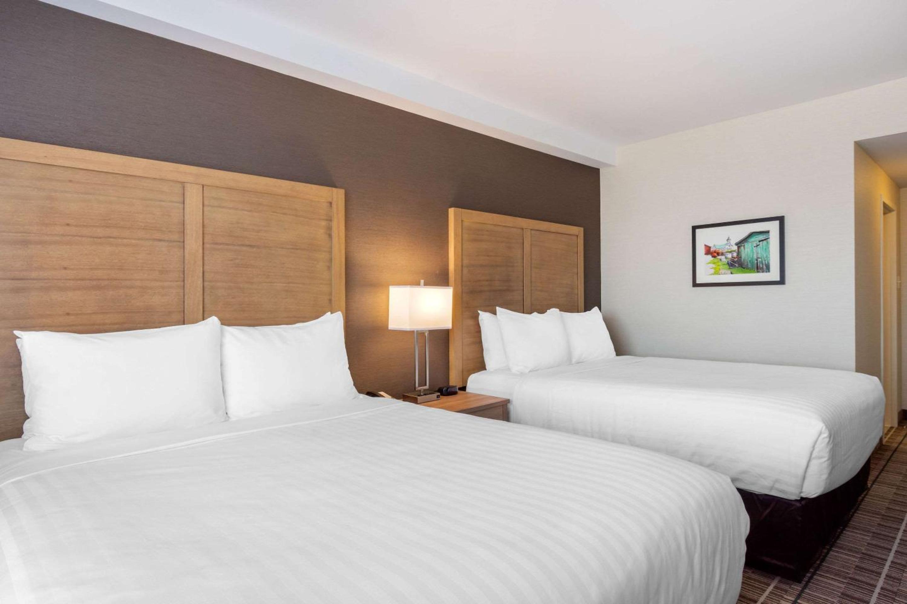 Queen Room with Two Queen Beds - Non-Smoking photo 2