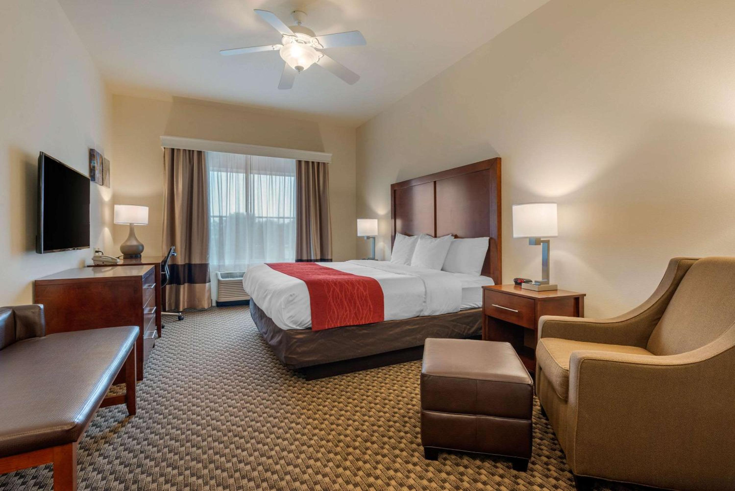 King Room with Roll-In Shower - Accessible/Non-Smoking - Photo 1