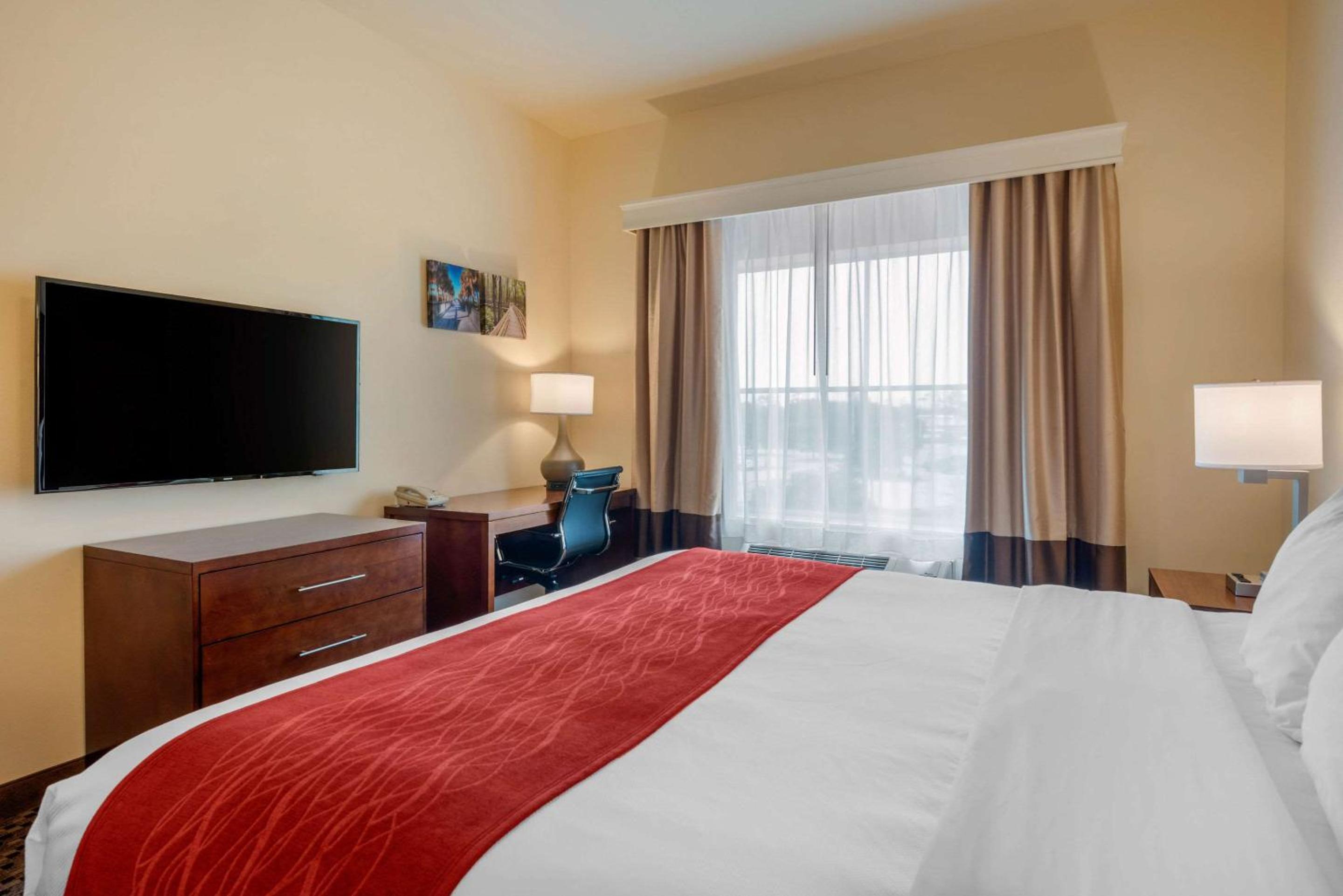 King Room with Roll-In Shower - Accessible/Non-Smoking - Photo 4