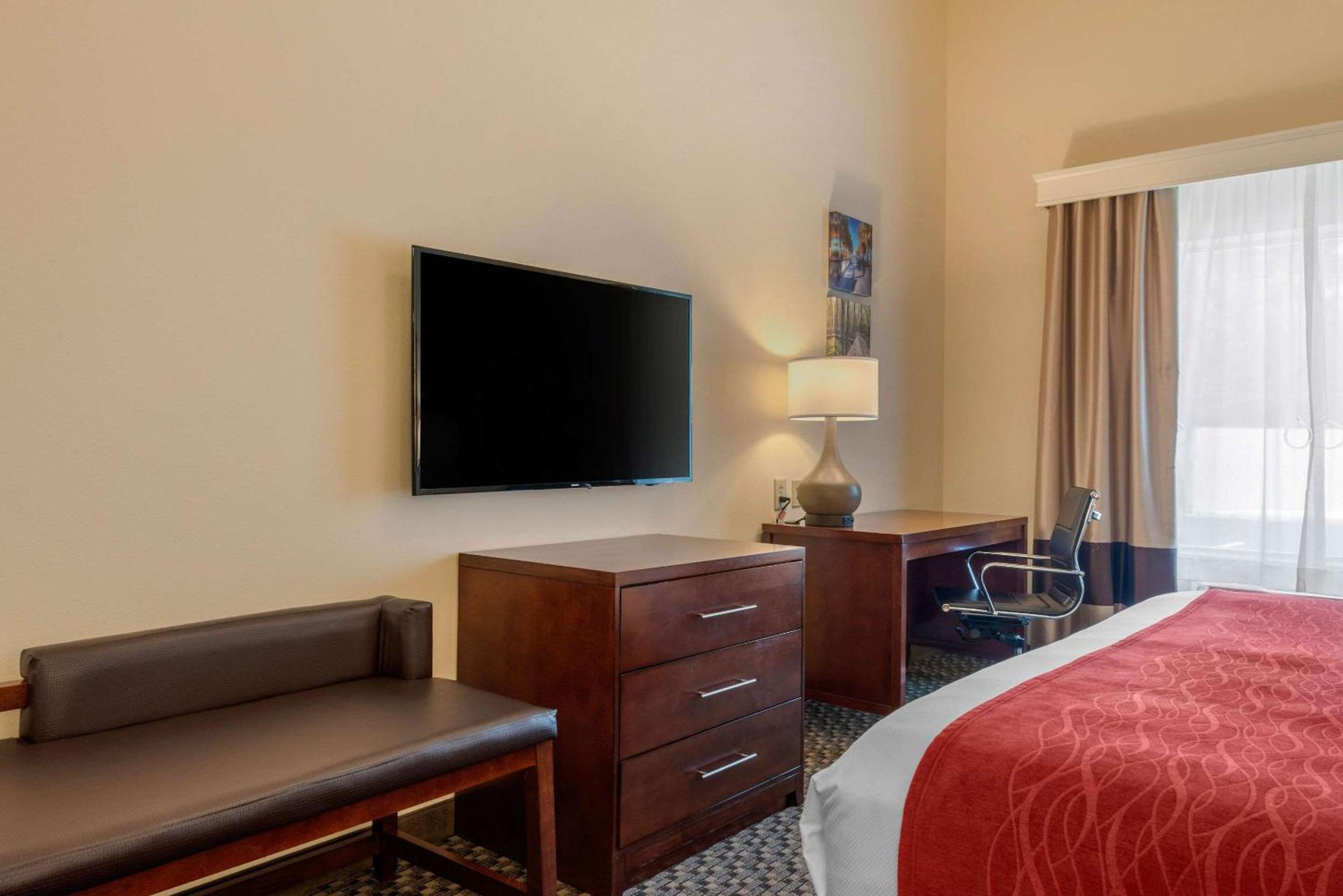 King Room with Roll-In Shower - Accessible/Non-Smoking - Photo 3