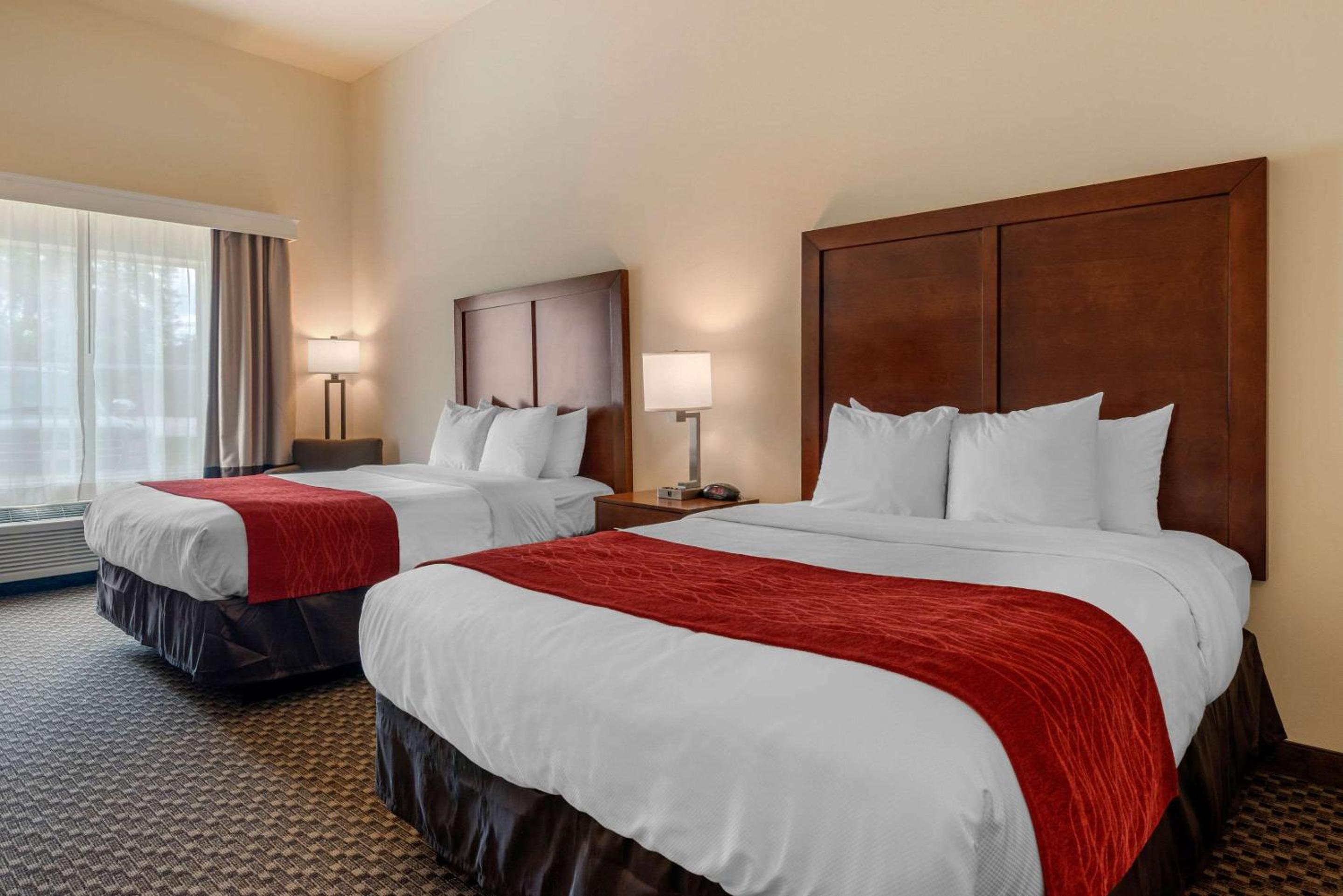 Standard Queen Room - Photo 4