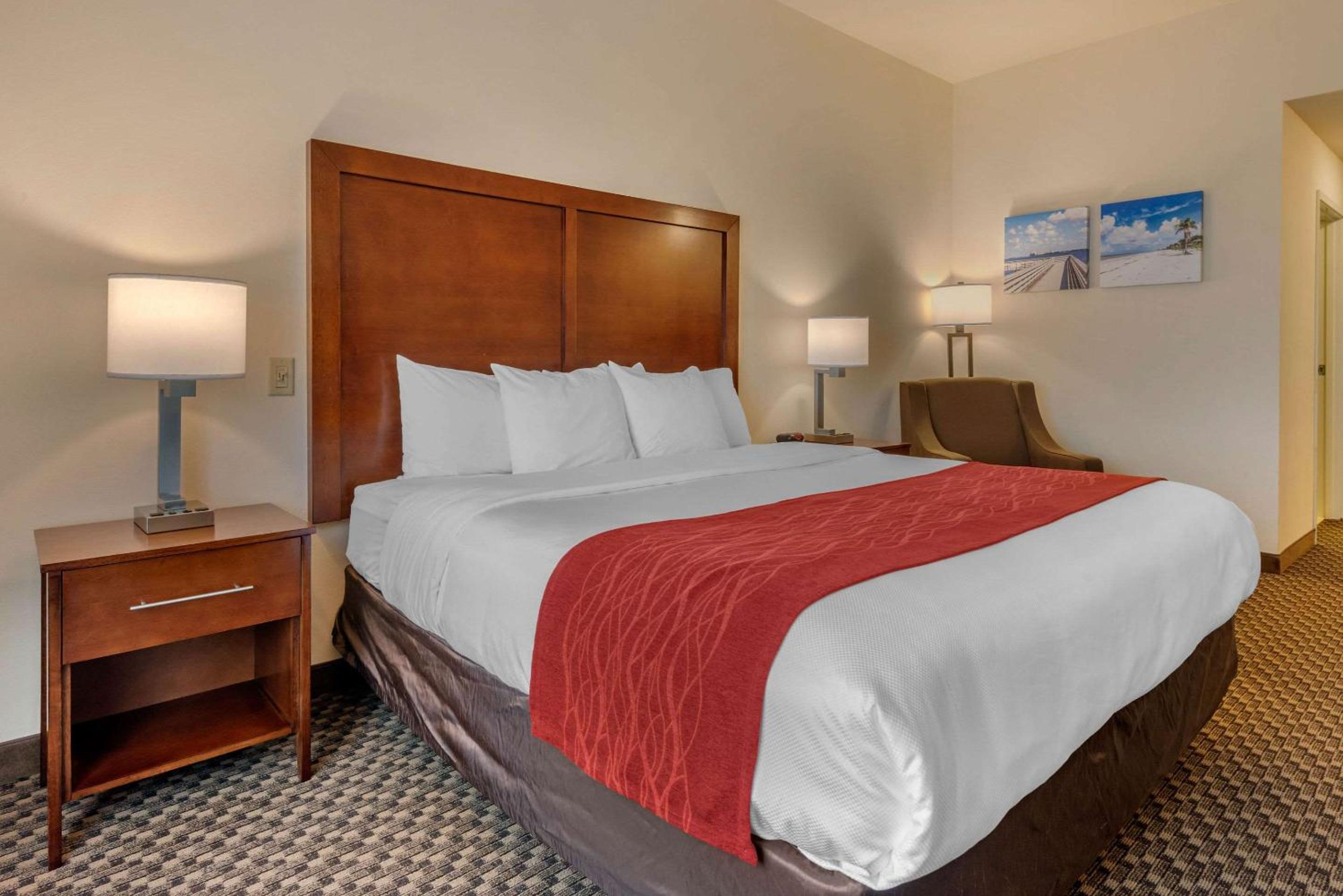 King Room with Roll-In Shower - Accessible/Non-Smoking - Photo 2