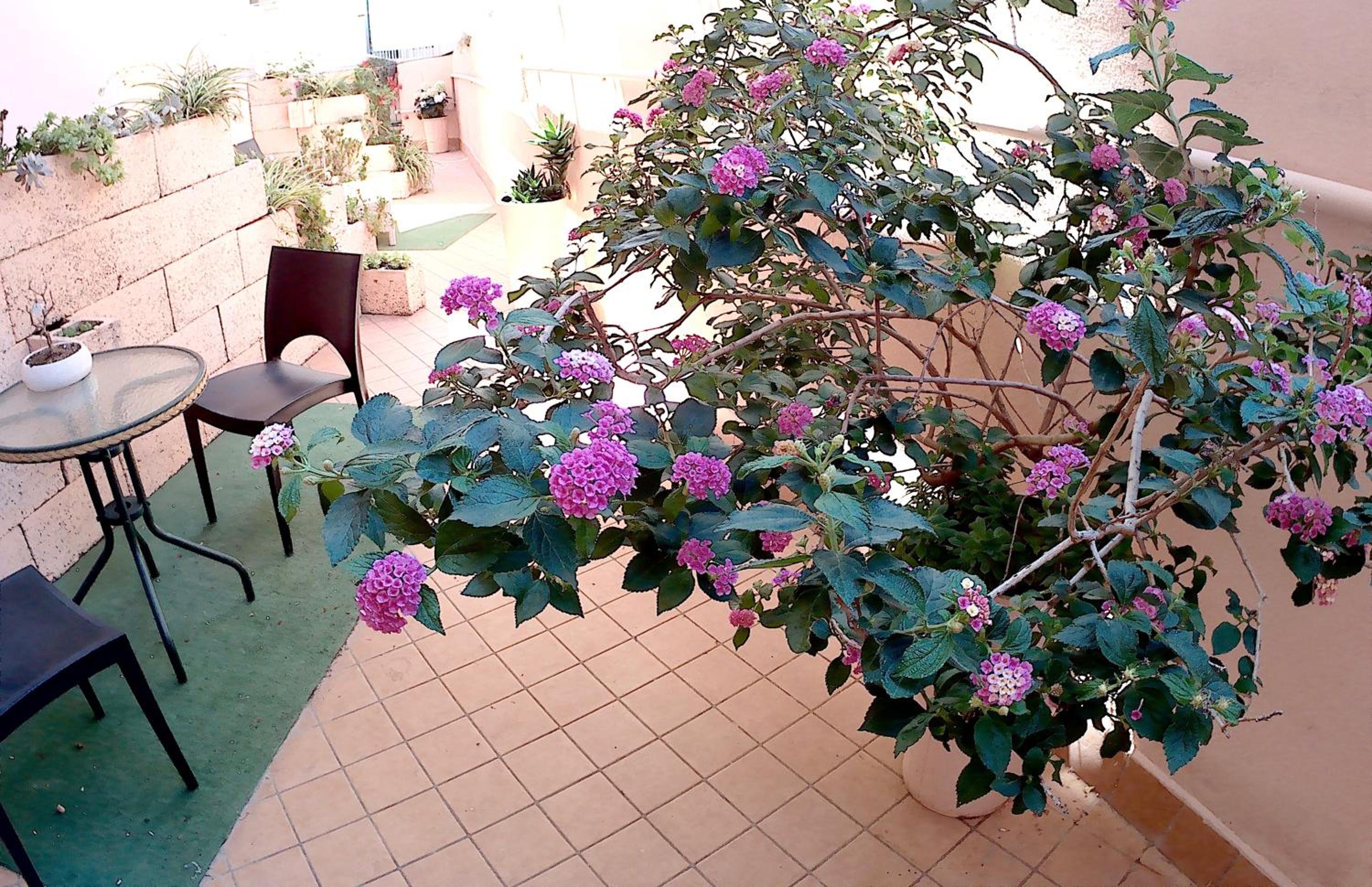 Double Room with Terrace - Photo 6
