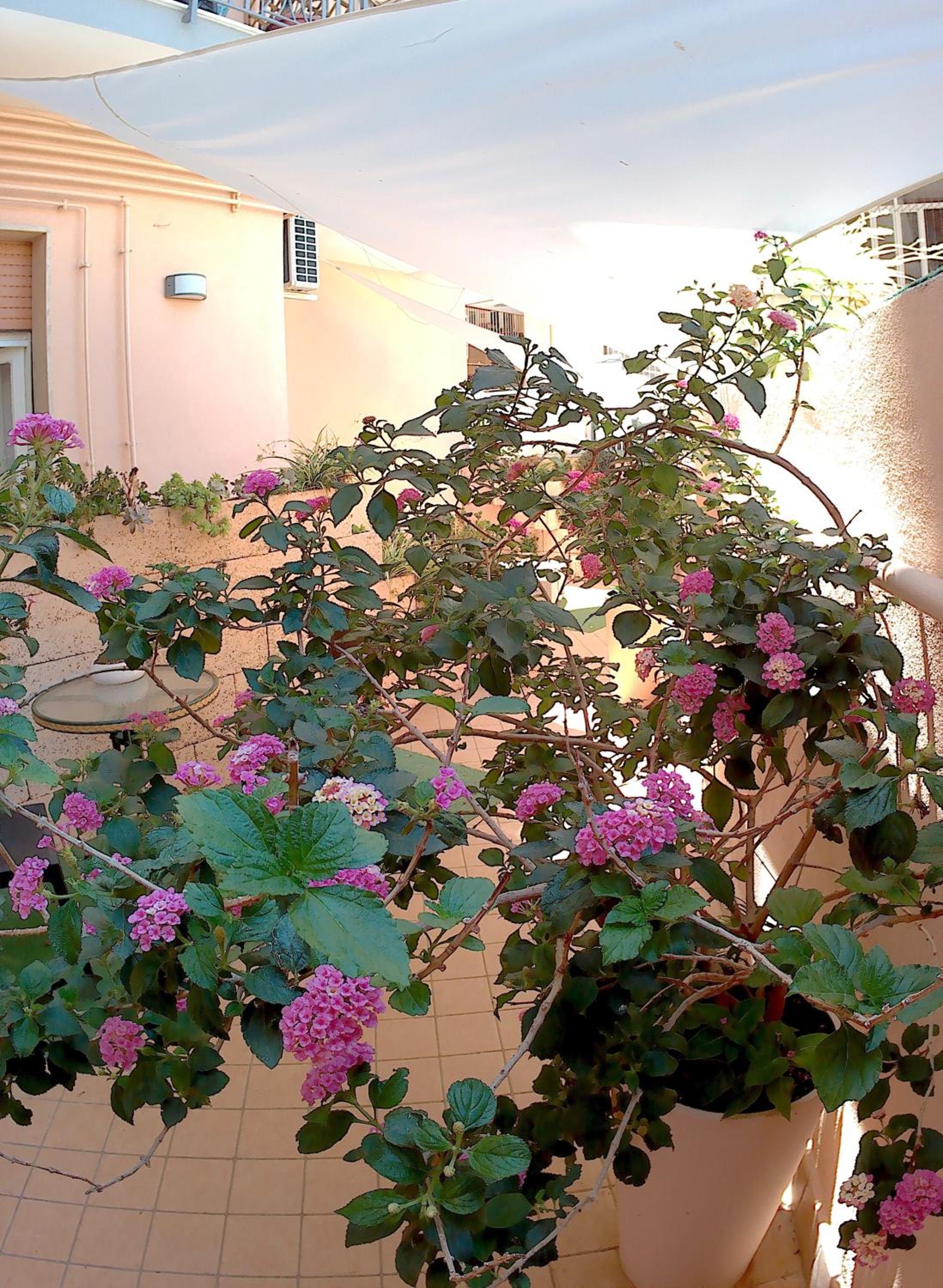 Double Room with Terrace - Photo 5