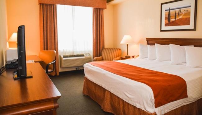 Premium King Room With Sofa Bed