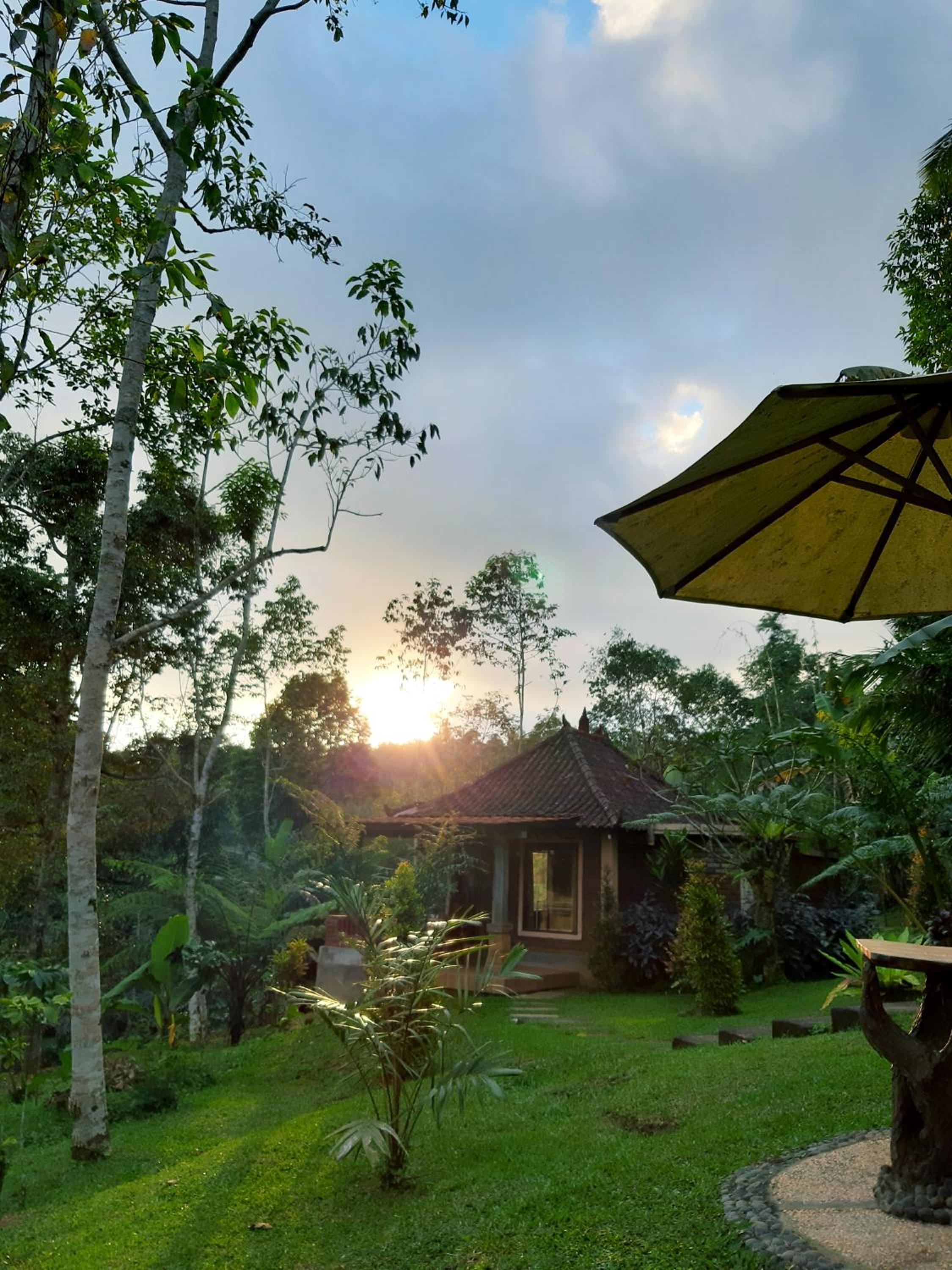 Deluxe Bungalow with Garden View - Photo 16