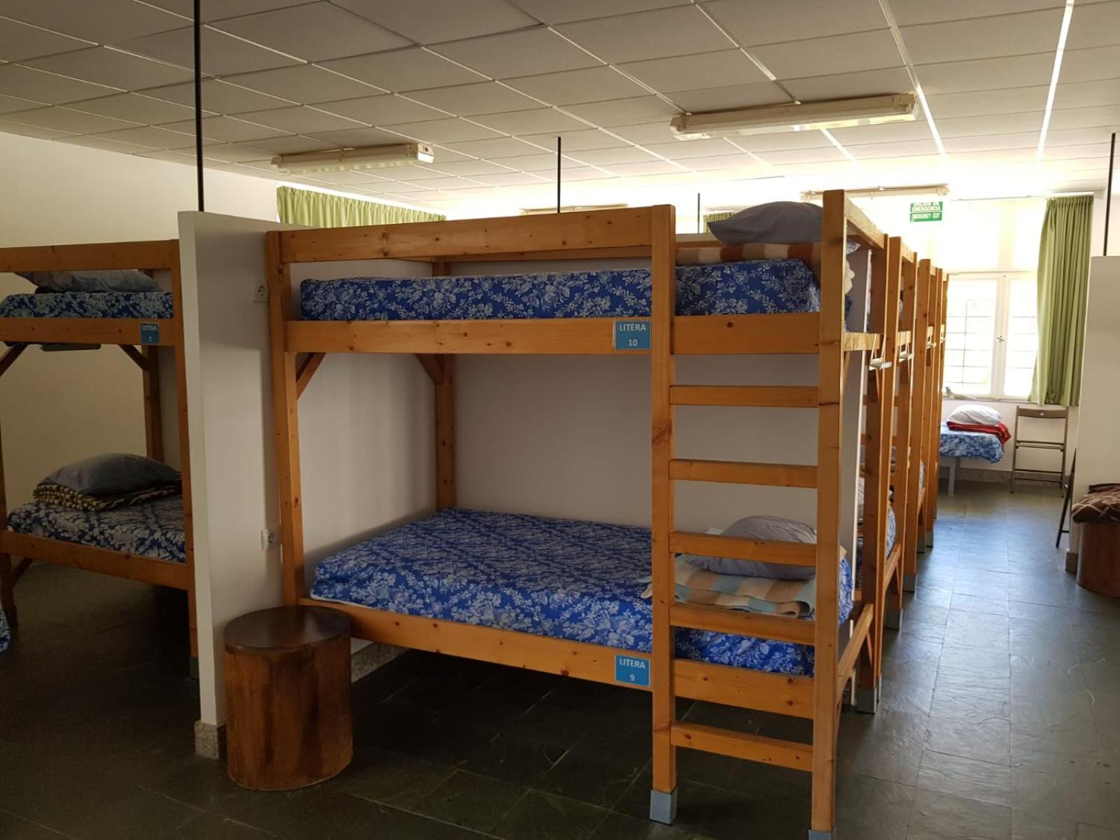 Bunk Bed in Mixed Dormitory Room photo 3