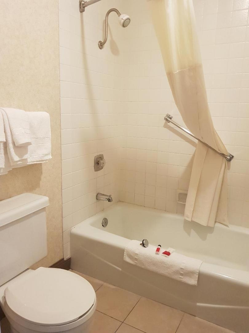 King Suite - Non-Smoking photo 2