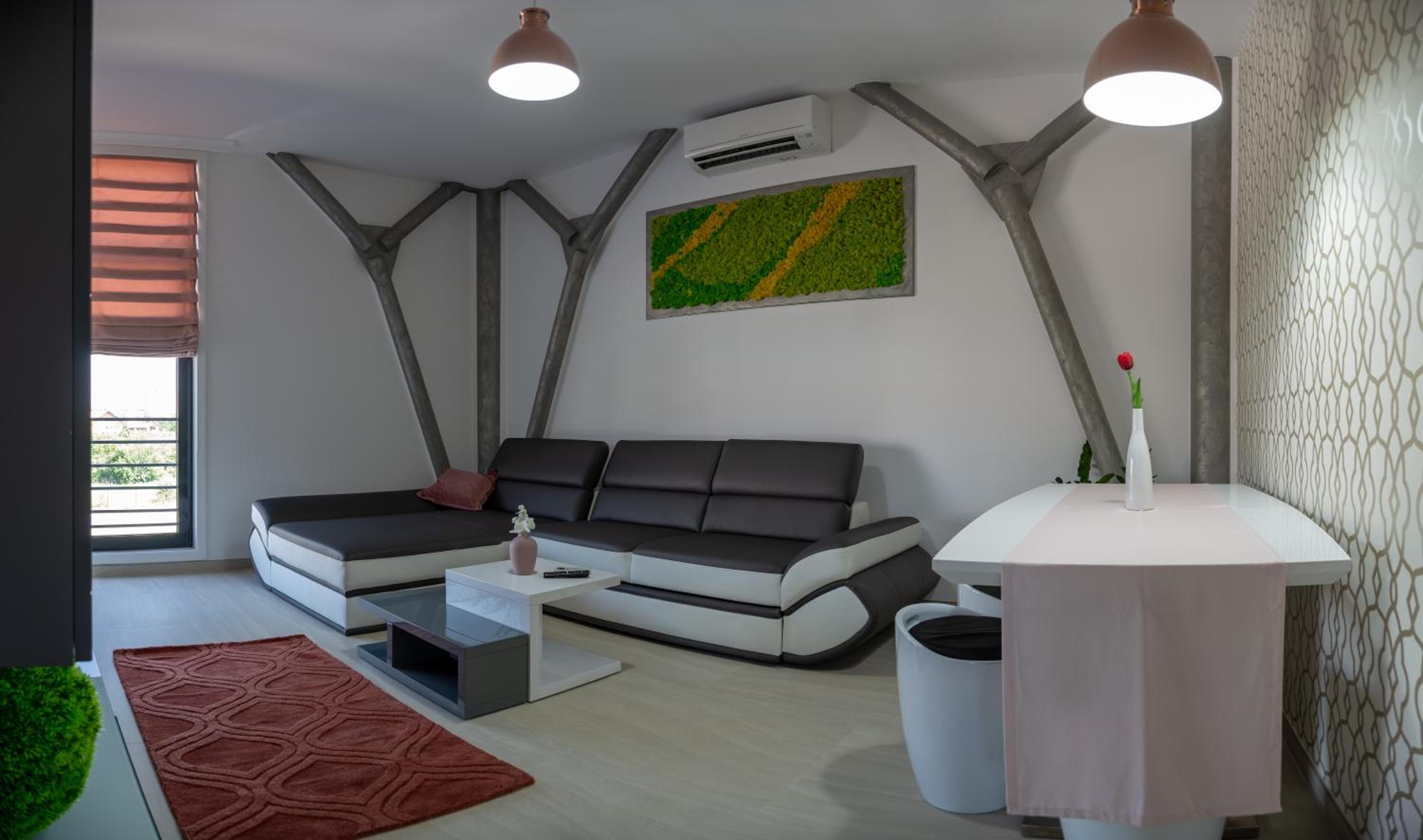 Deluxe Apartment