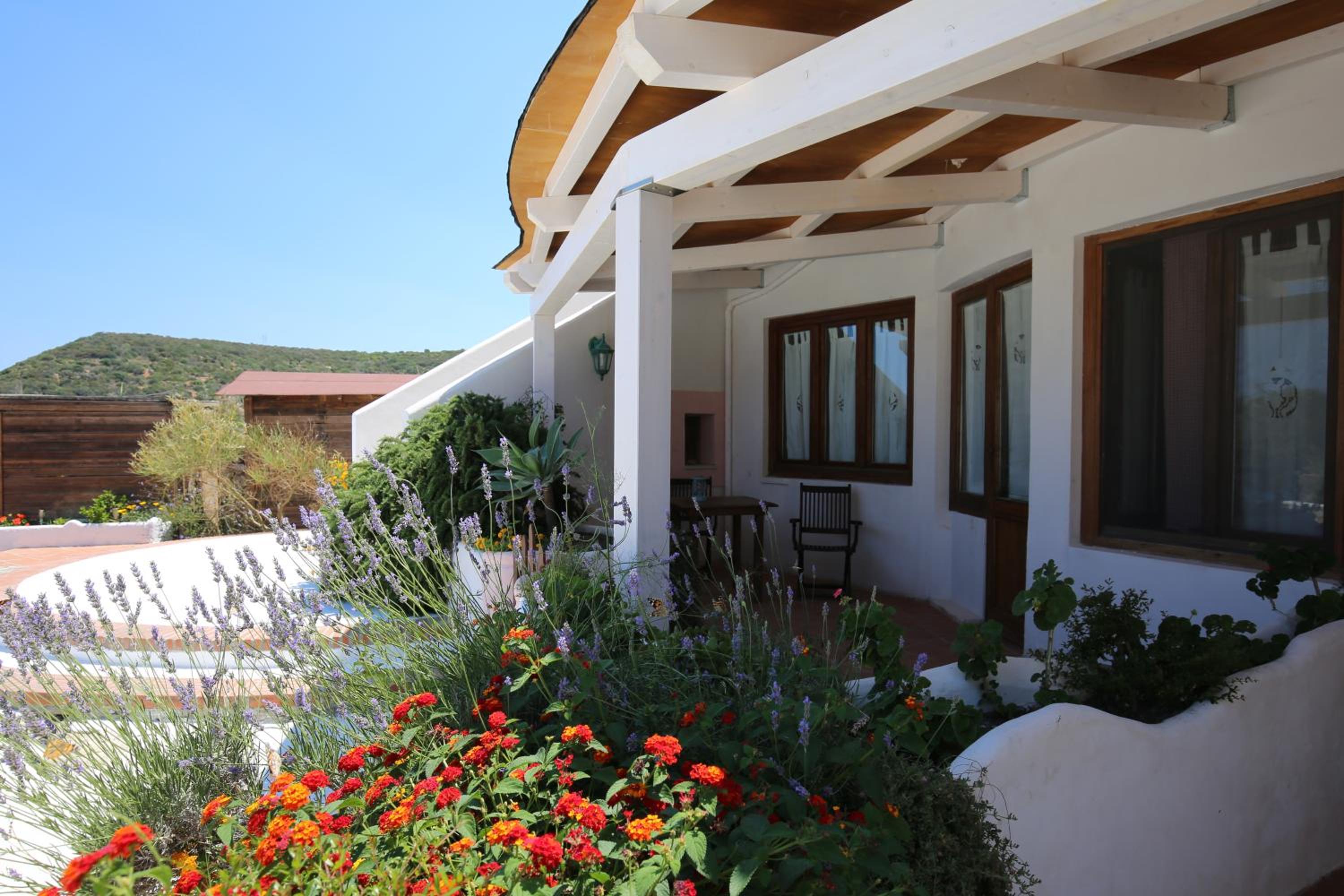 Triple Room with Sea View photo 3