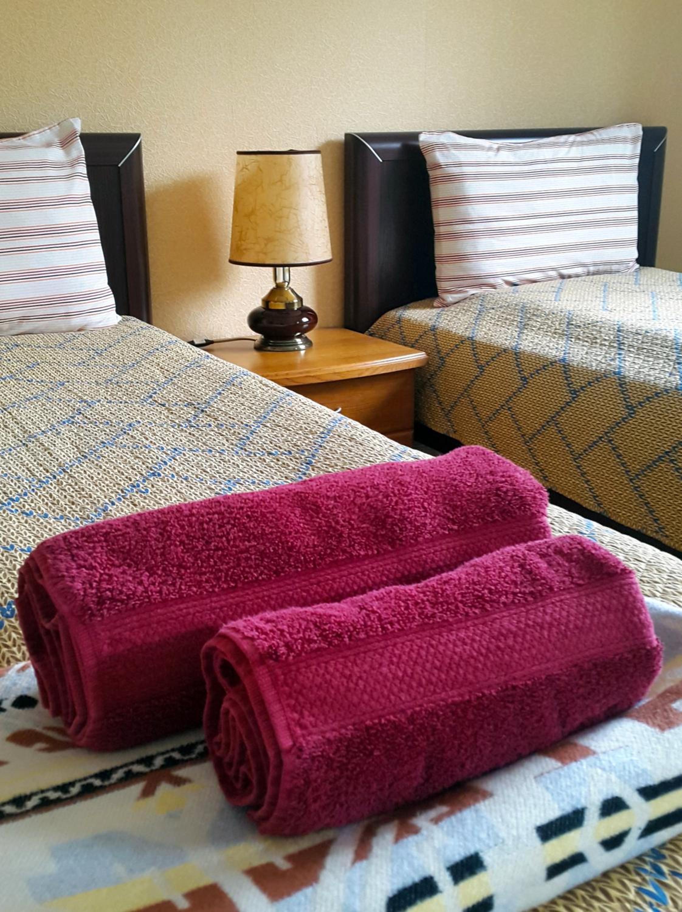 Twin Room with Mountain View - Photo 3