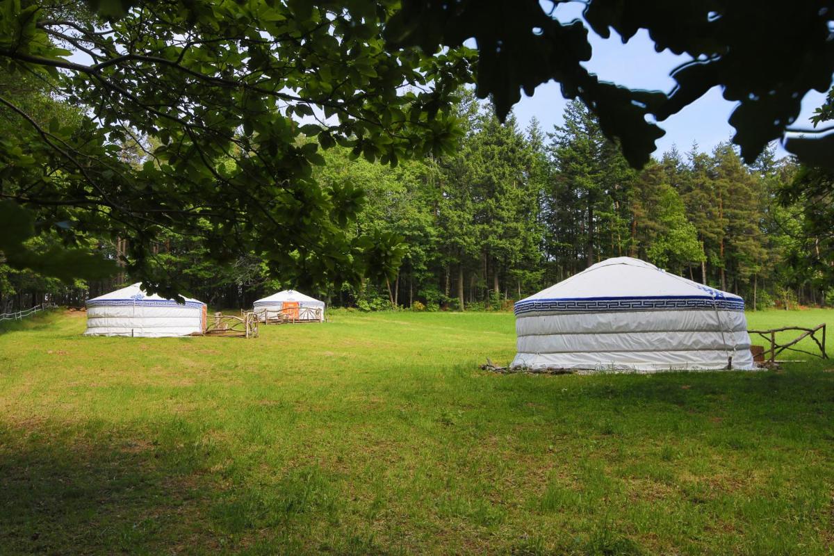 Tent photo 1