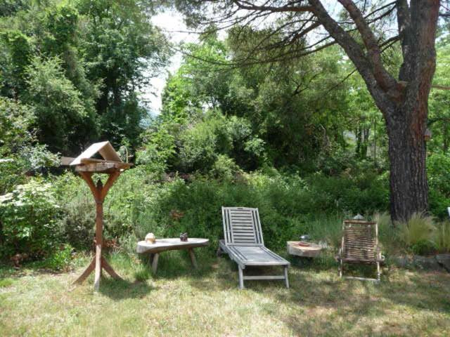 Family Studio - Photo 2